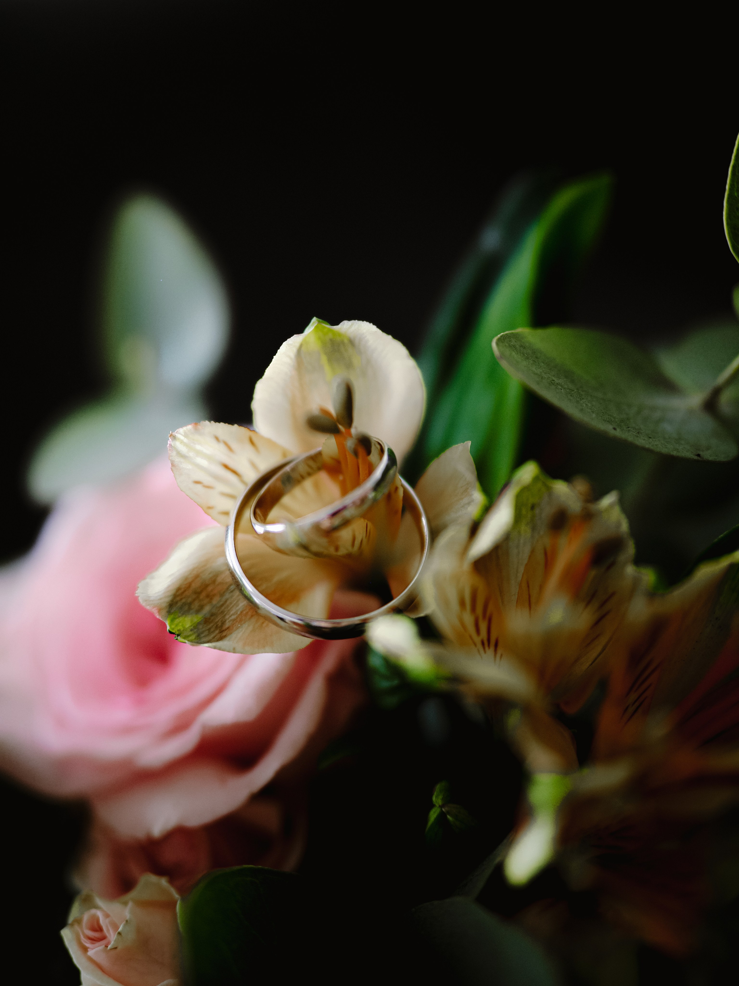 Карина и Илья. Фотограф Рязань. Семейный Свадебный фотограф