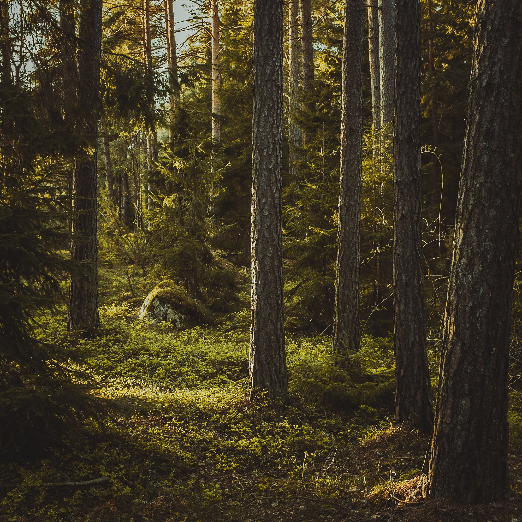 Пространство. Промышленная и репортажная фотография