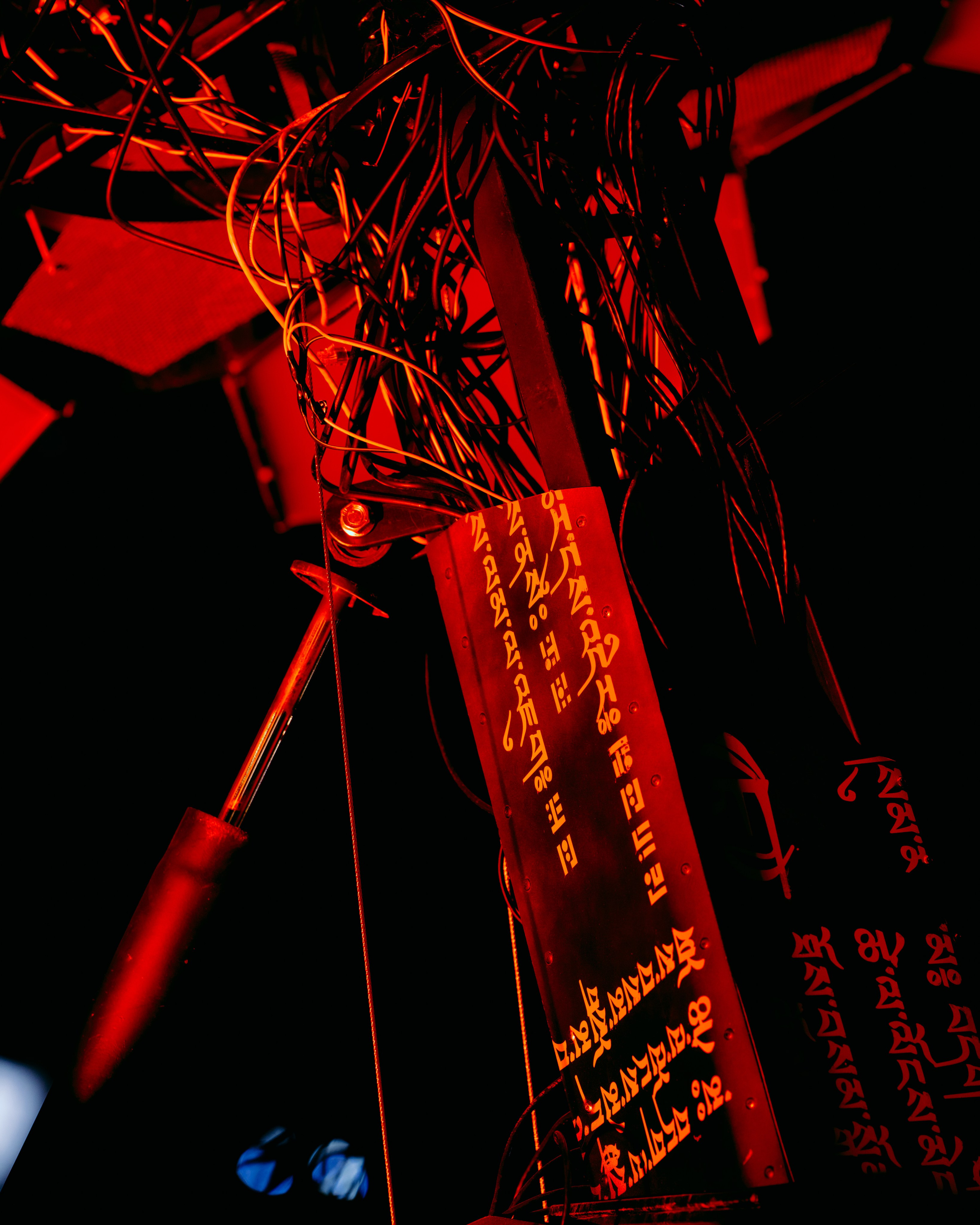 PANTERRA, Cyber Flower. @tomrus: Рустам Шагиморданов — фотограф