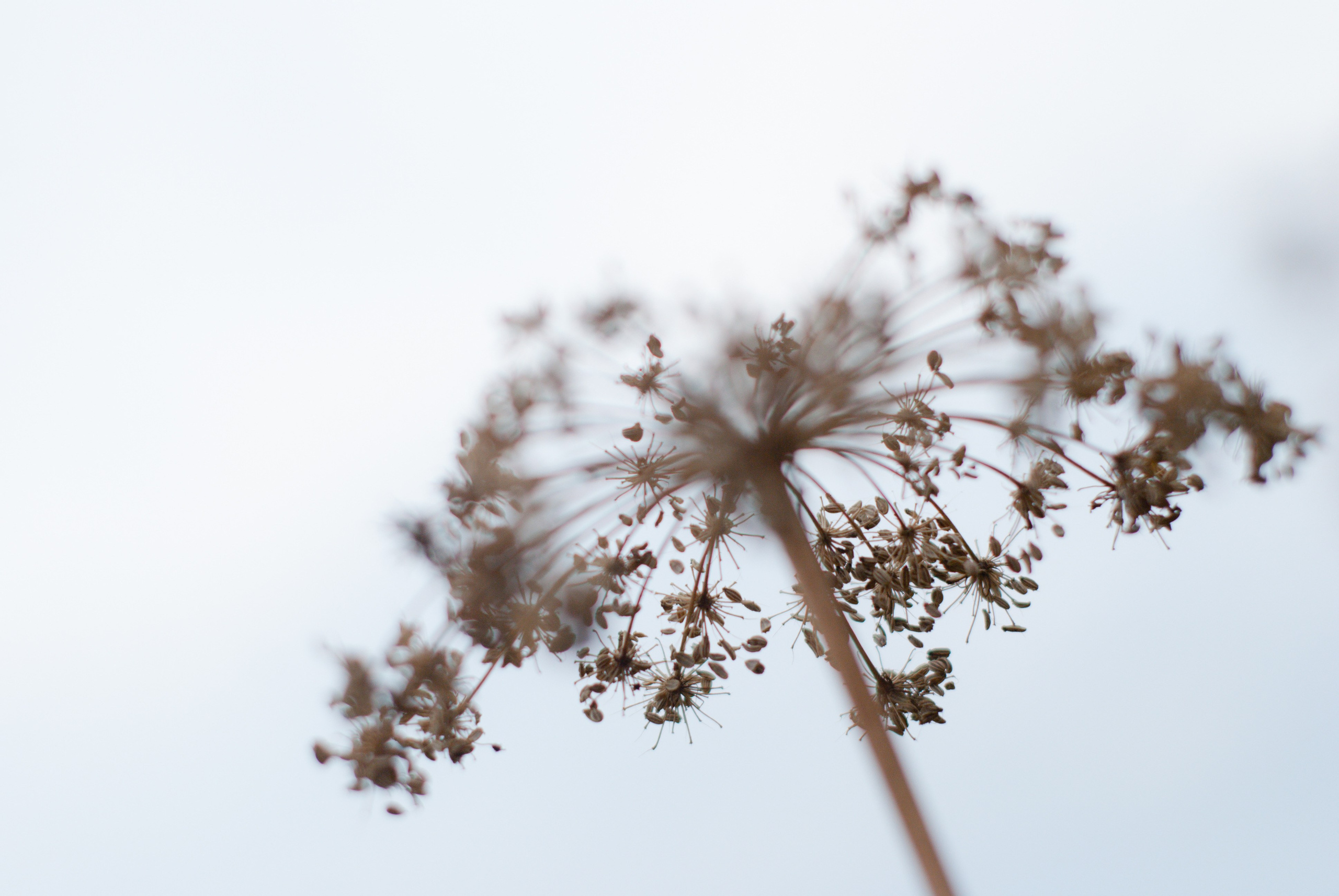 Этот прекрасный мир