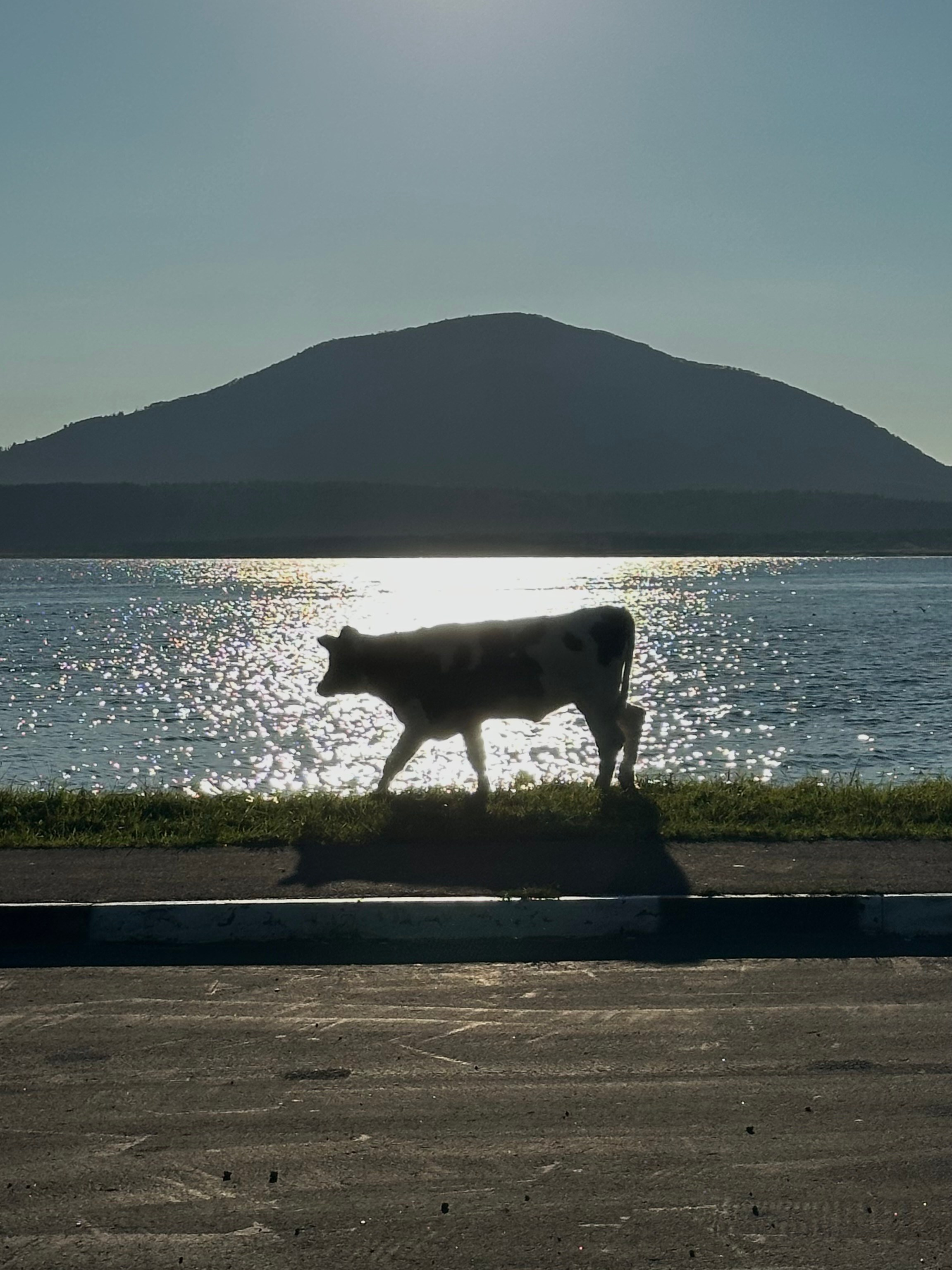 EXHIBITION. Репортажный и интерьерный фотограф, фотохудожник
