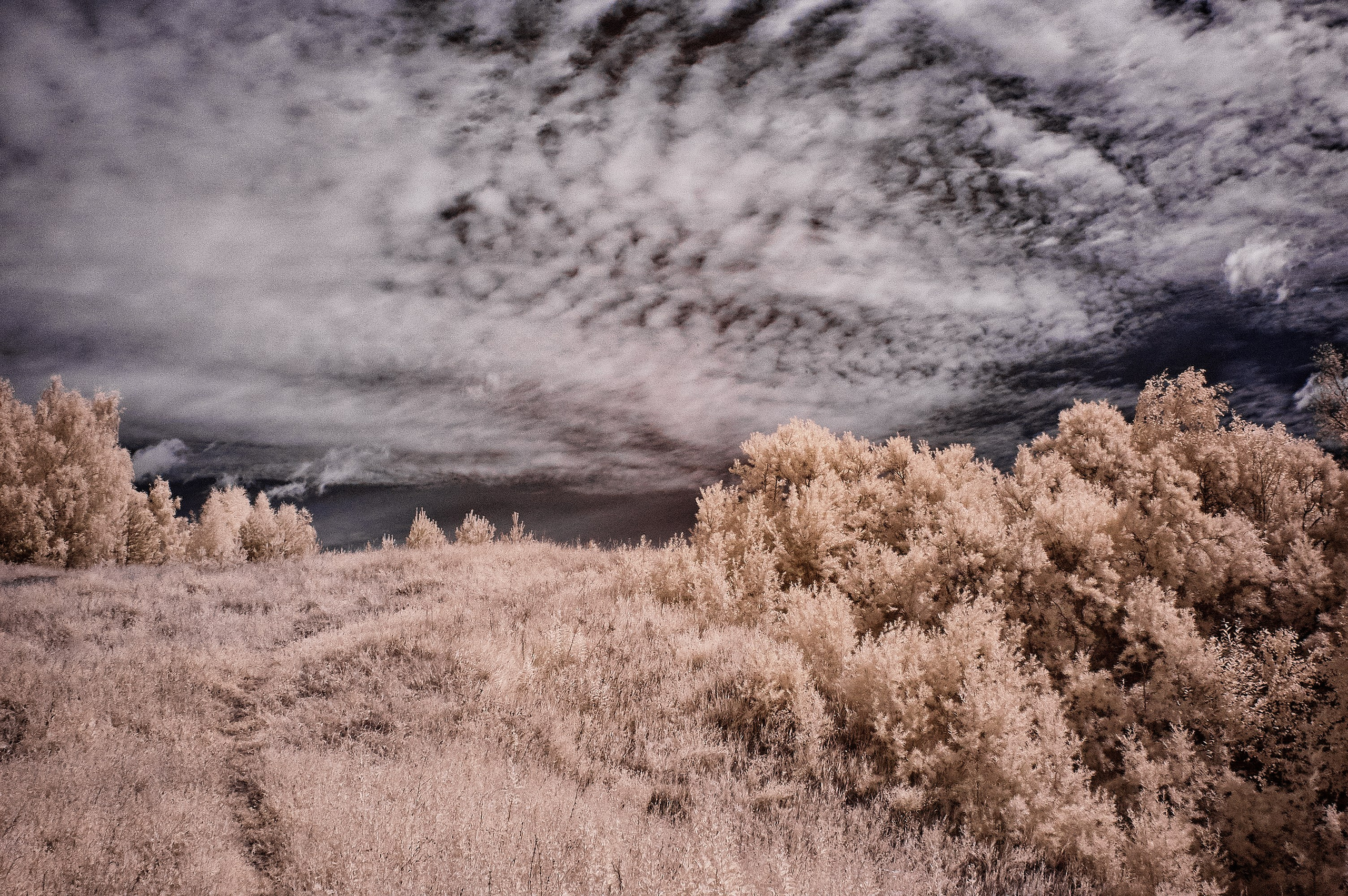 Infrared Photography. Solofilms