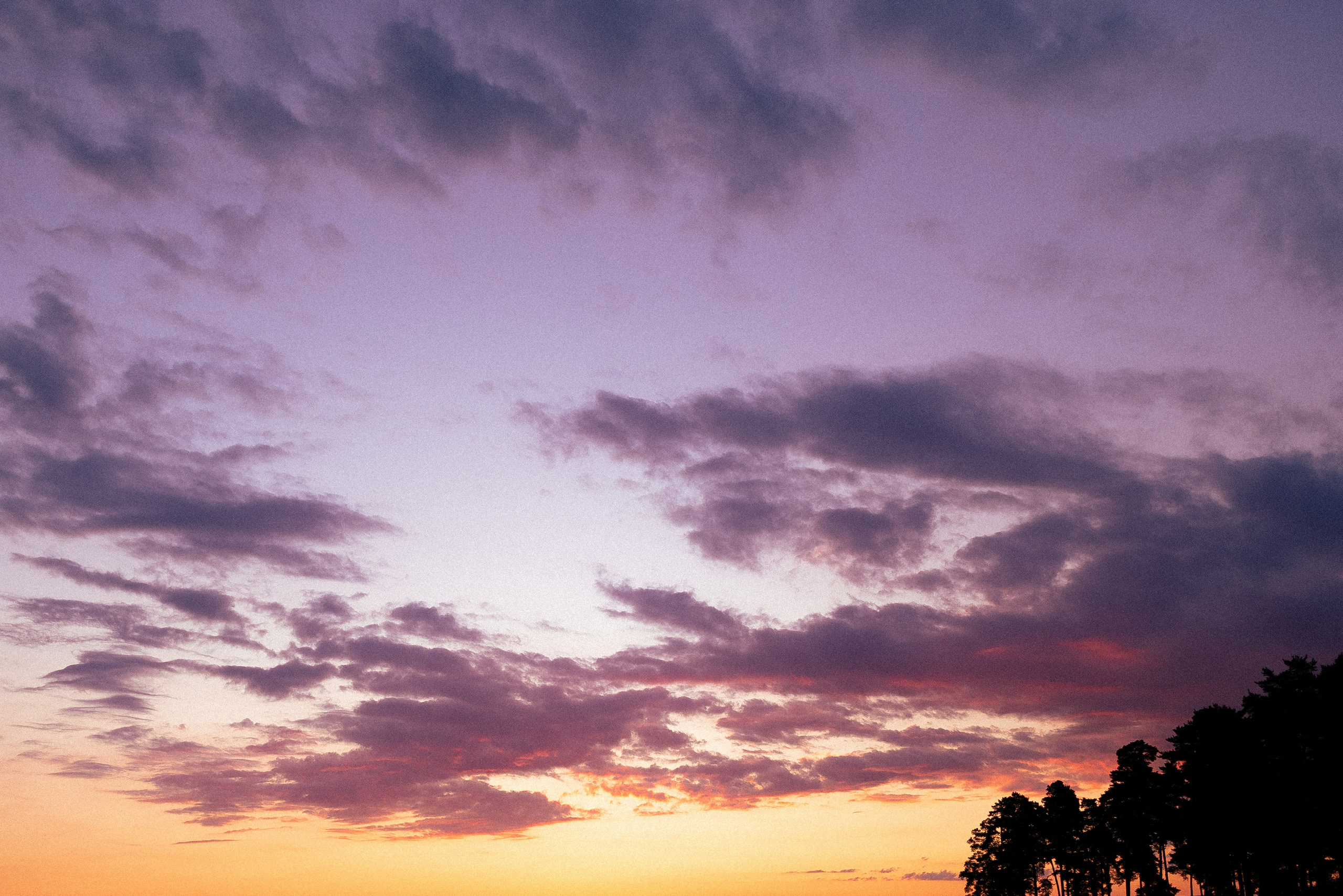 Галина и Лоя. Фотограф и видеограф анималист Аганина Дарья