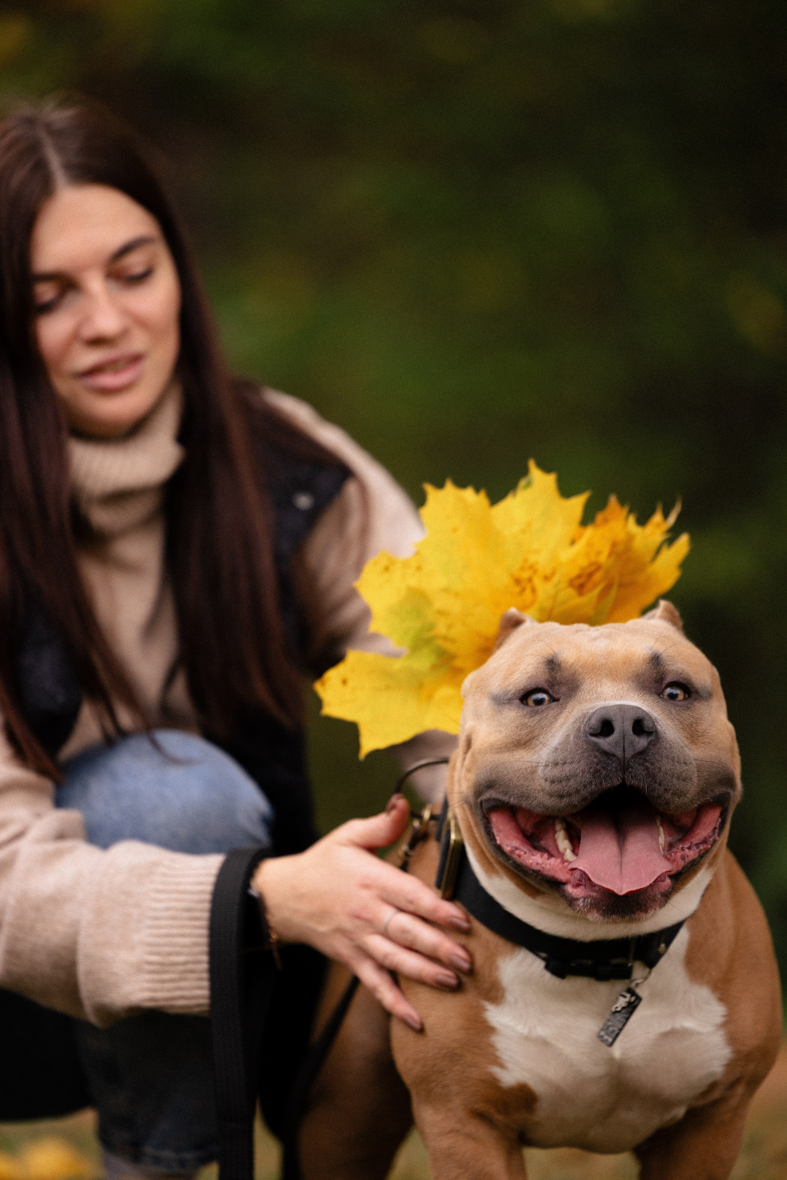 Алена и Тор. Фотограф и видеограф анималист Аганина Дарья