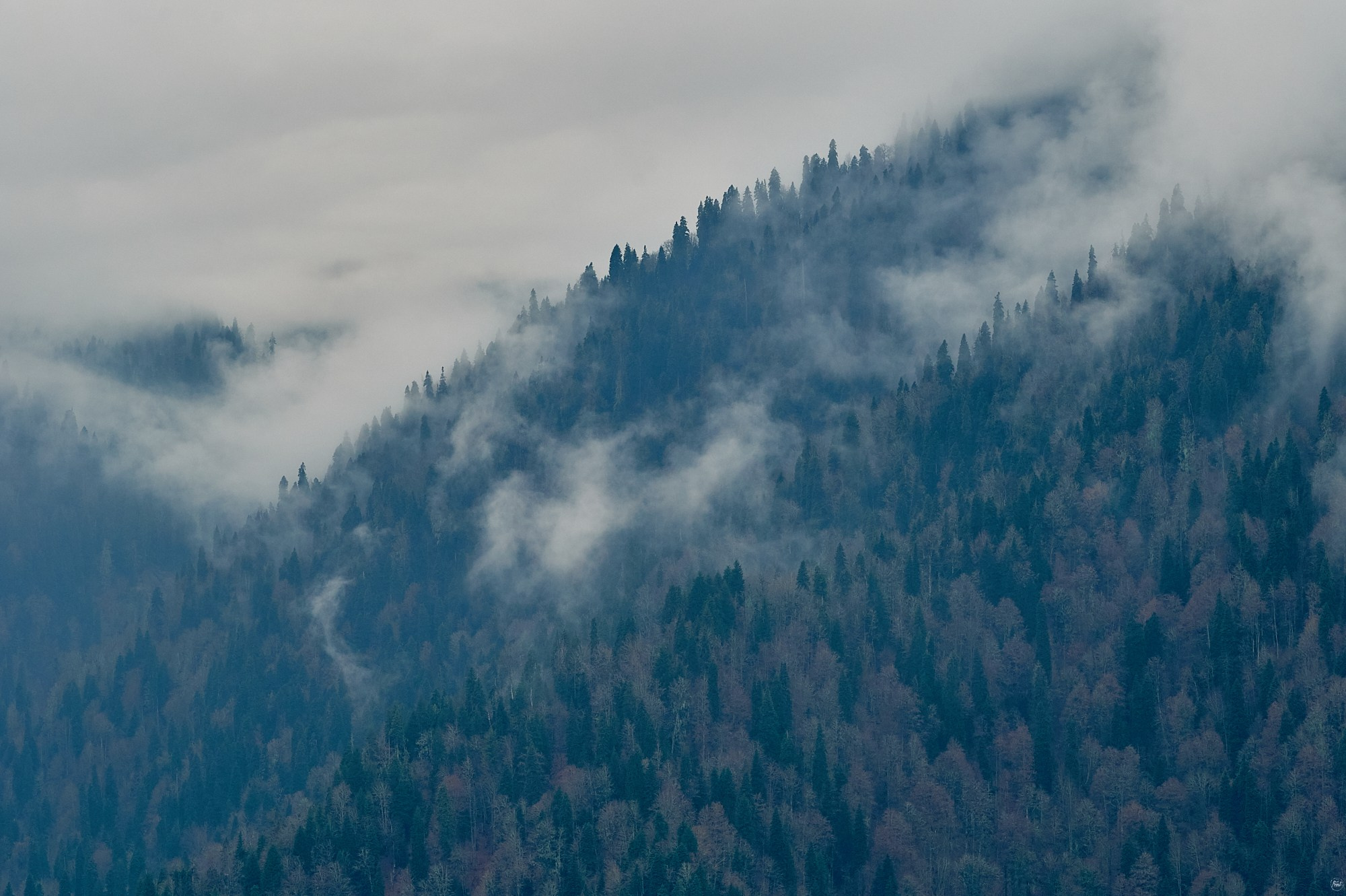 Озеро Рица, Абхазия. Декабрь 2024. Фотографии отовсюду и обо всем