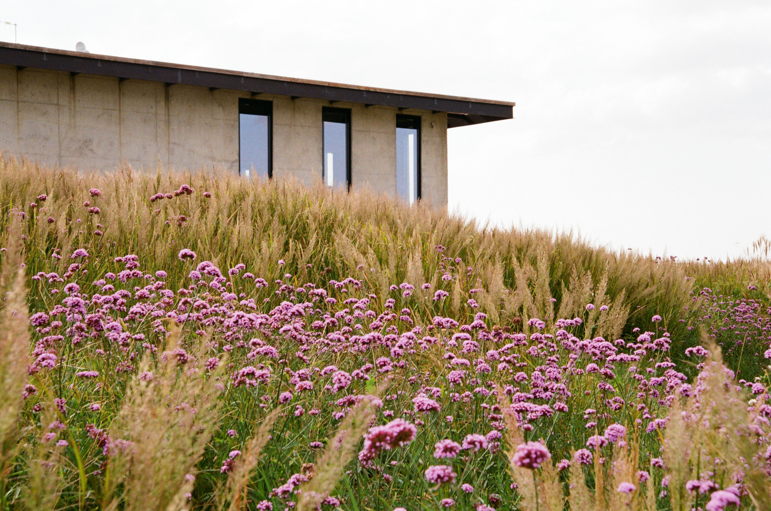Gai-Kodzor Winery Landscape. Ekaterina Symidi. Interior Photographer