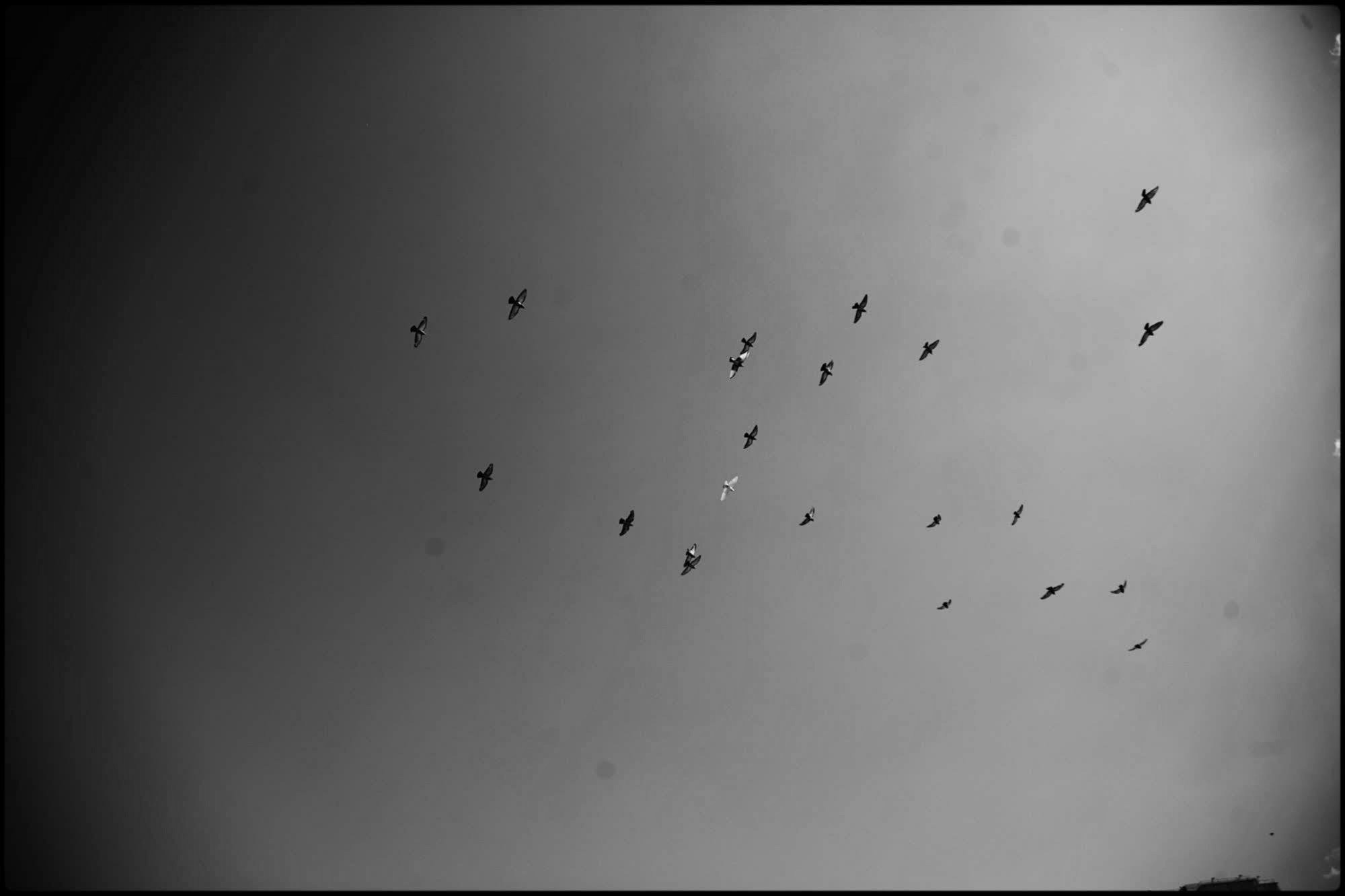 Касание. Катерина Малама арт-фотограф