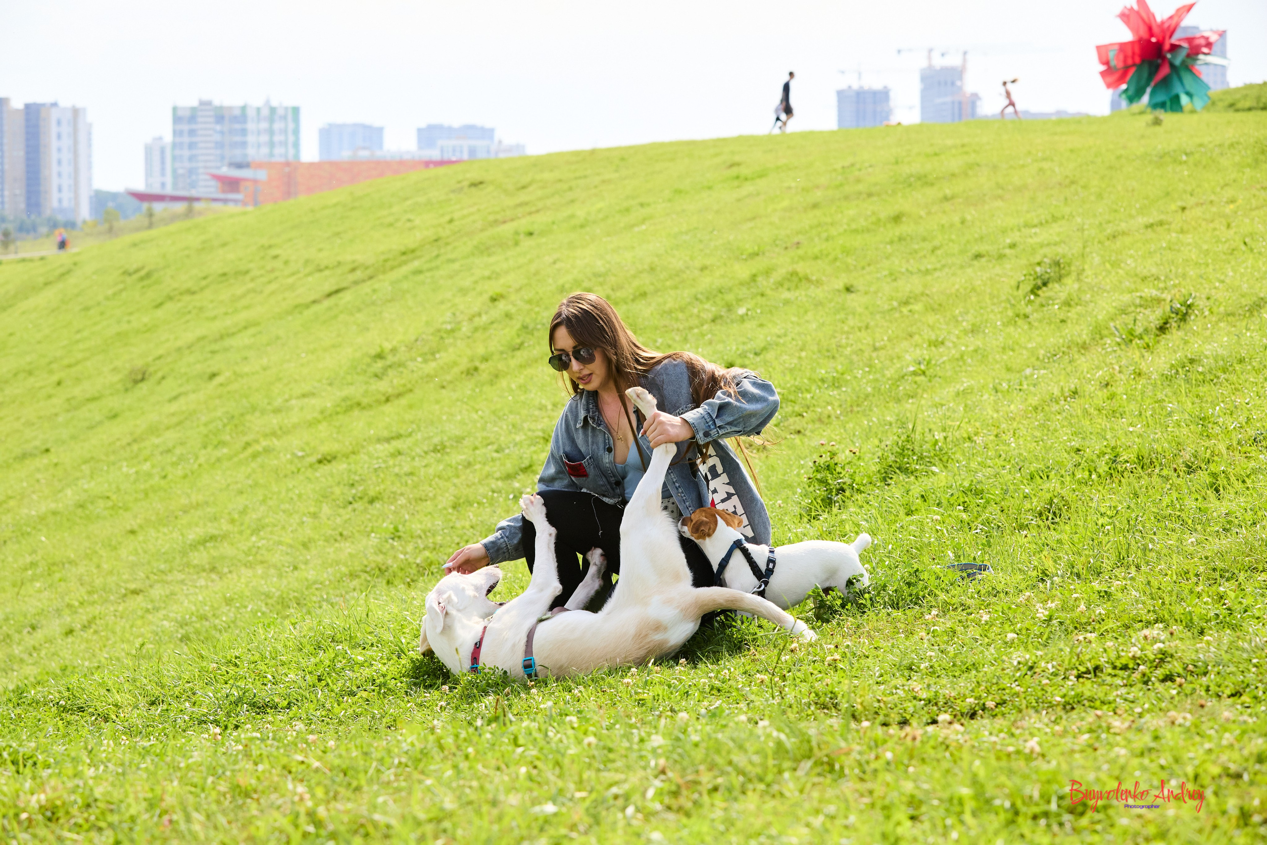 Проект фотопрогулка с хвостиком. Buyvolenko Andrey