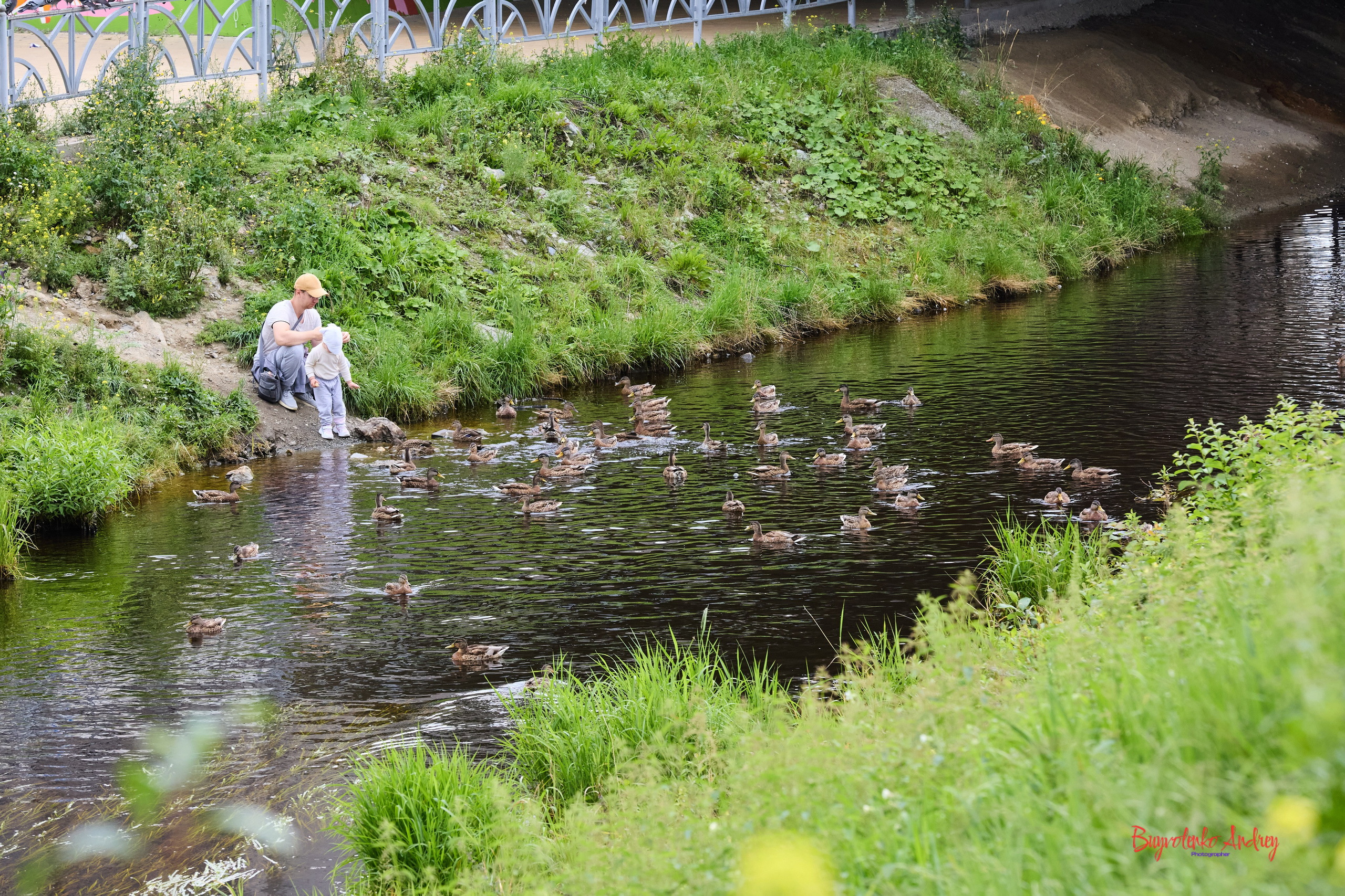 Проект фотопрогулка с хвостиком. Buyvolenko Andrey