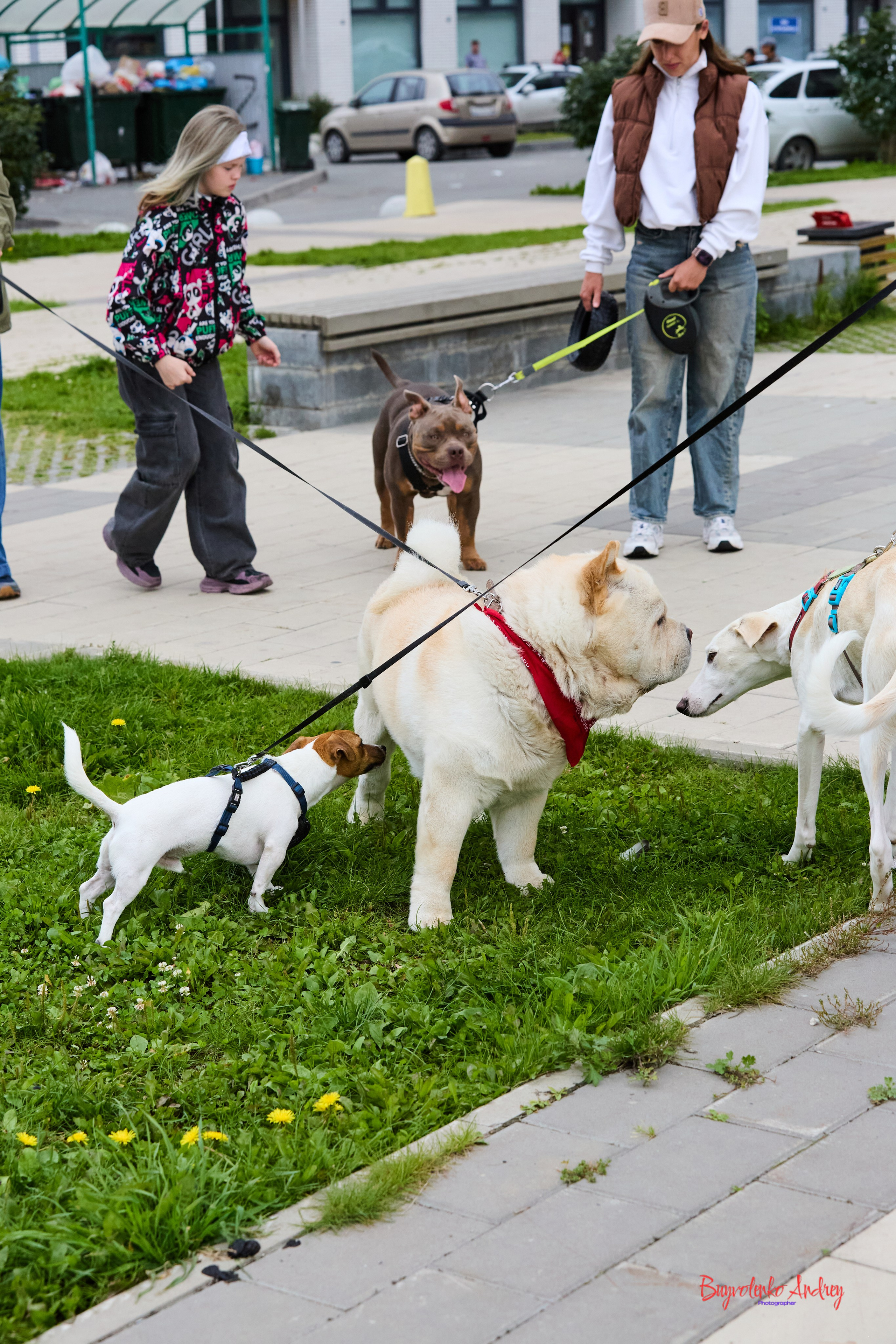Проект фотопрогулка с хвостиком. Buyvolenko Andrey