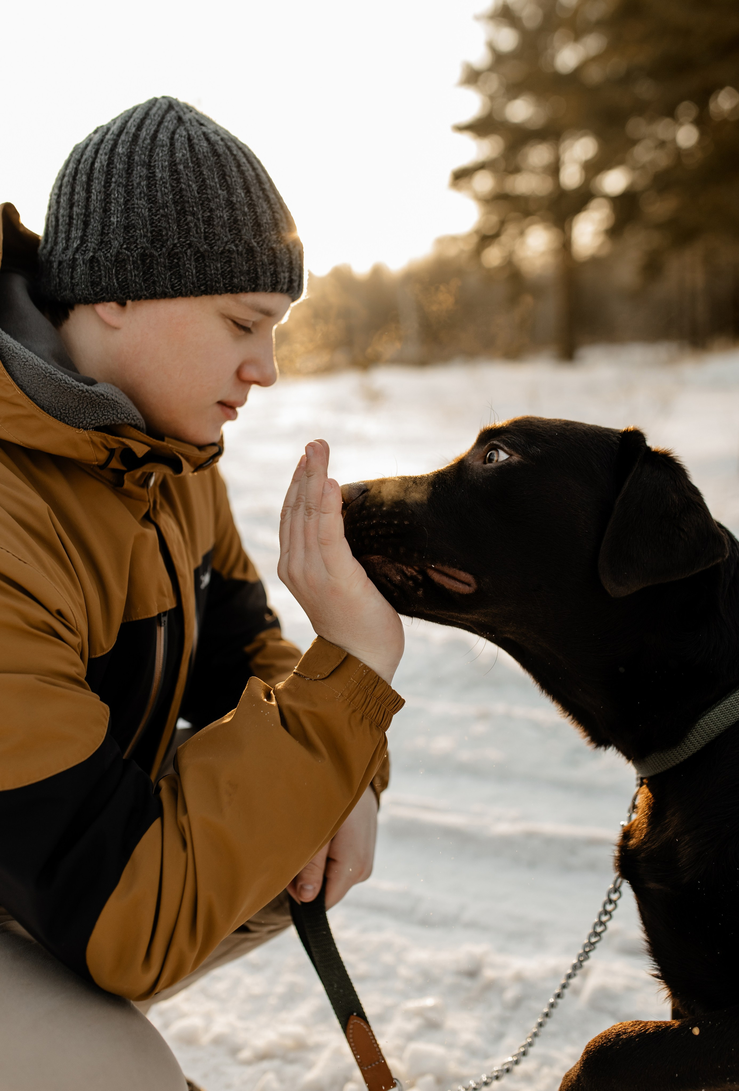 Ви ,Мась & Вегас
