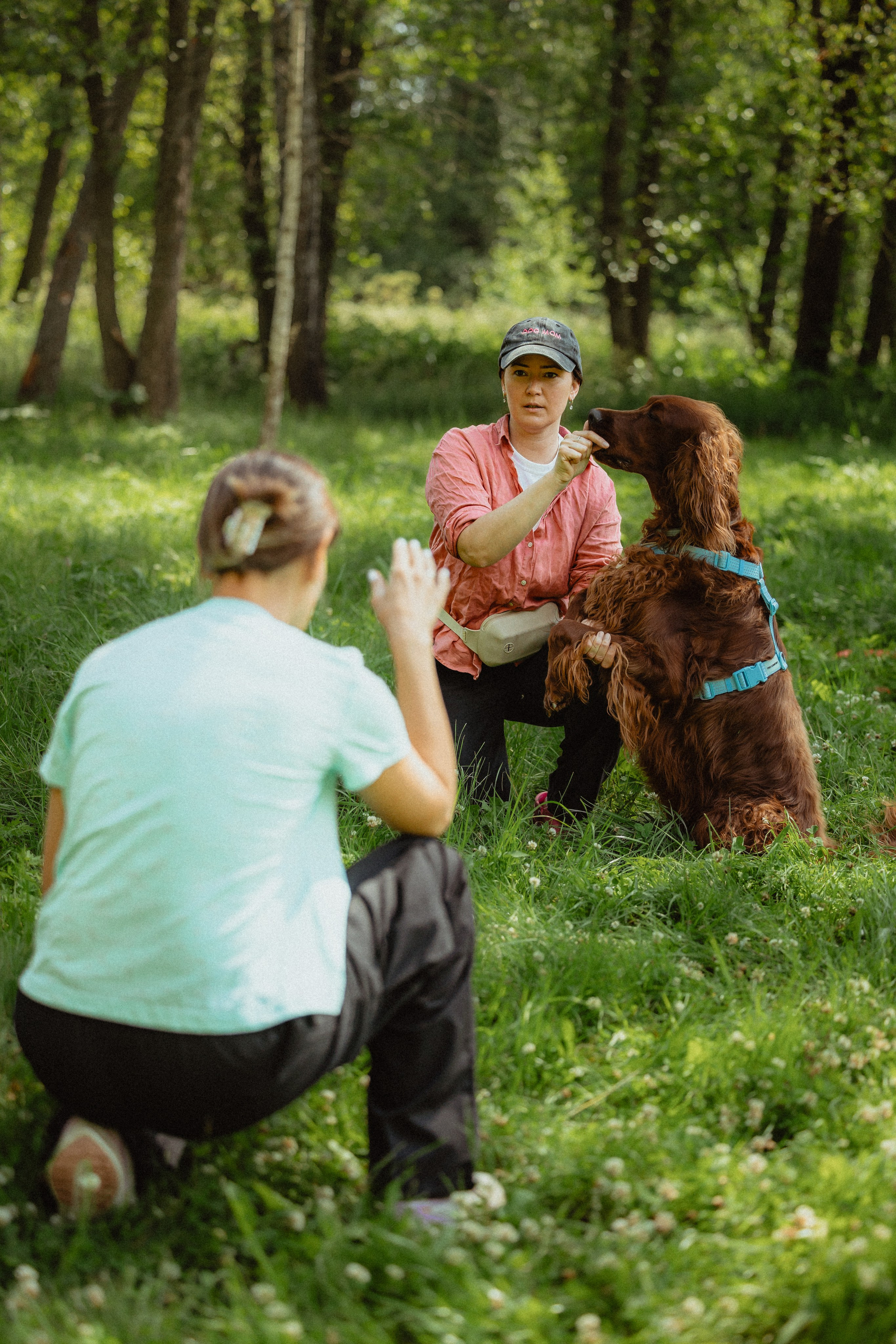 Выездной дог-тренинг от школы «Шерсть имею»