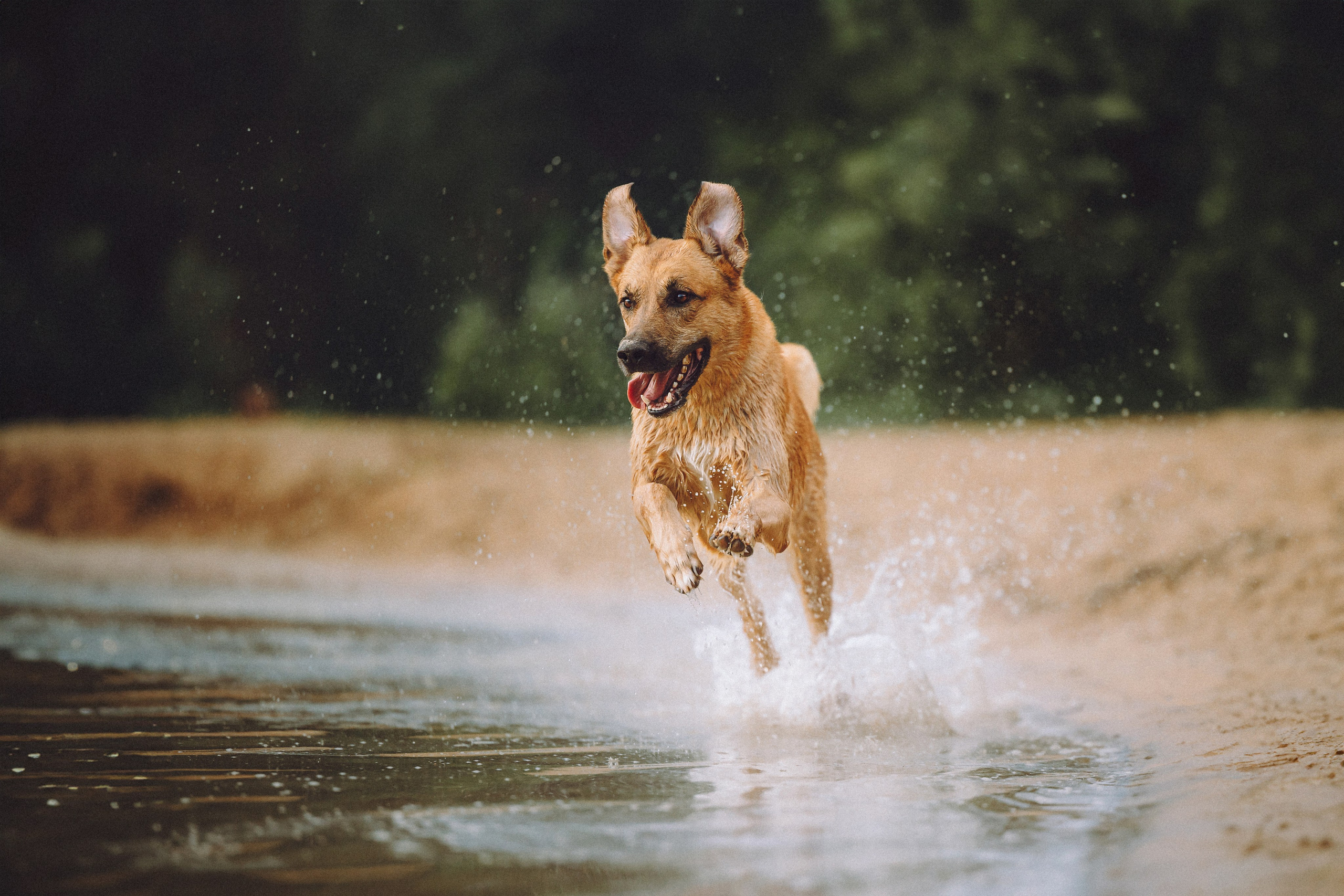 Роби, Тео и их семья