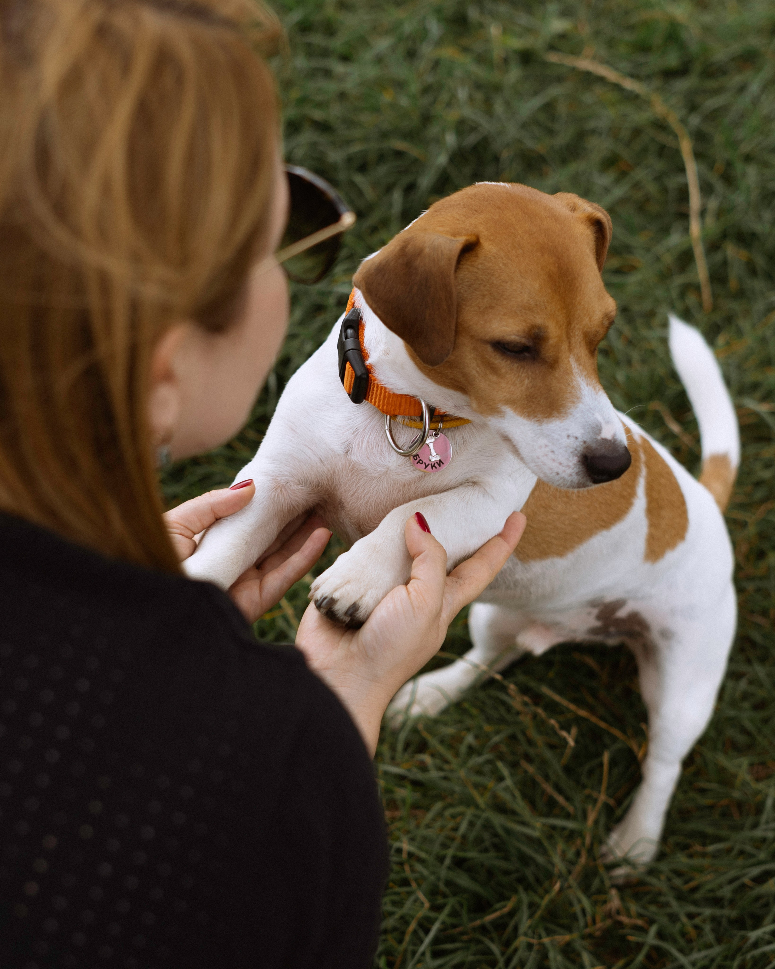 Катерина и Бруки. Фотограф в Москве Шалышко Ангелина