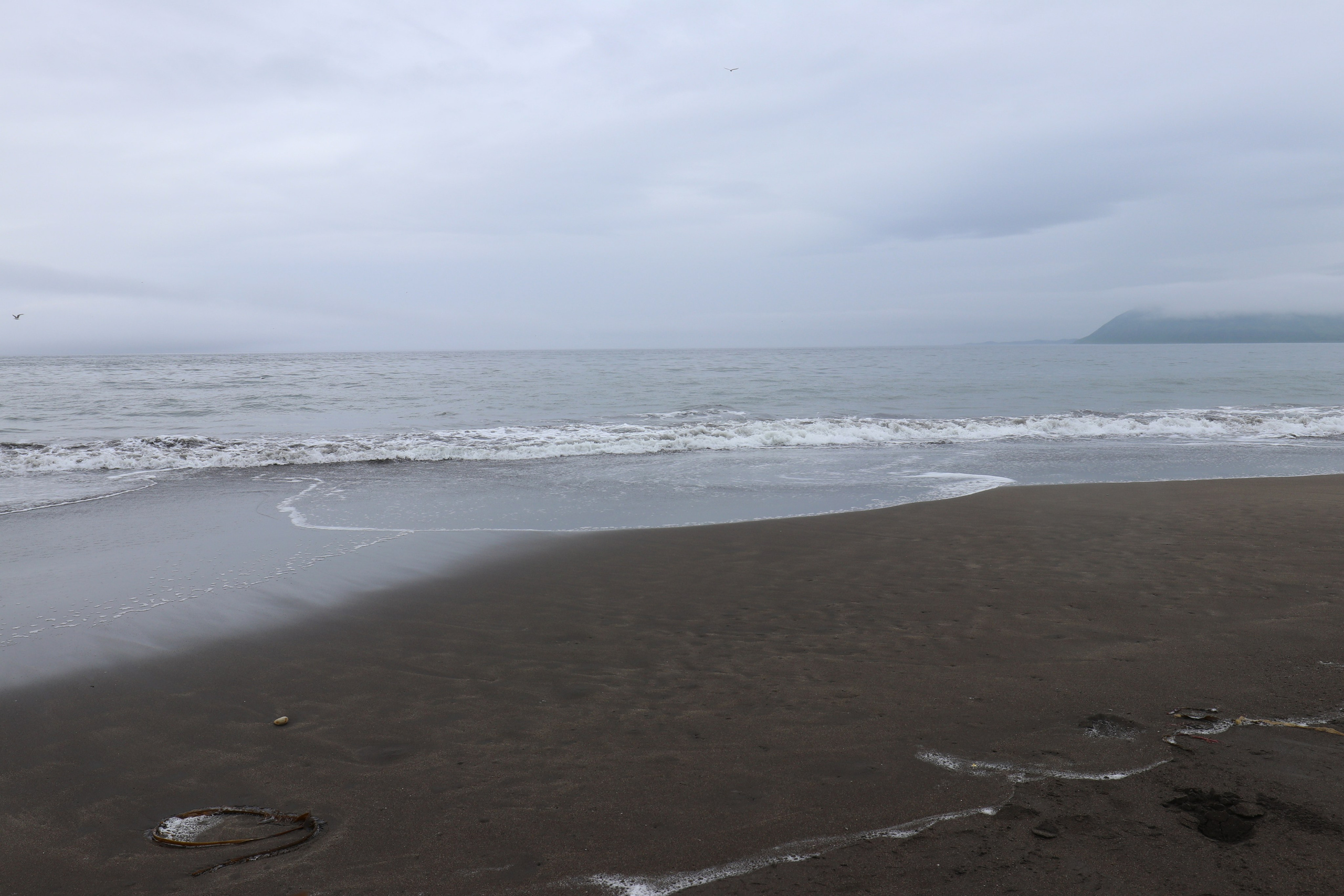 Камчатка и о. Парамушир. Июль 2024. Путешественник-фотограф из Санкт-Петербурга Татьяна Свистулина