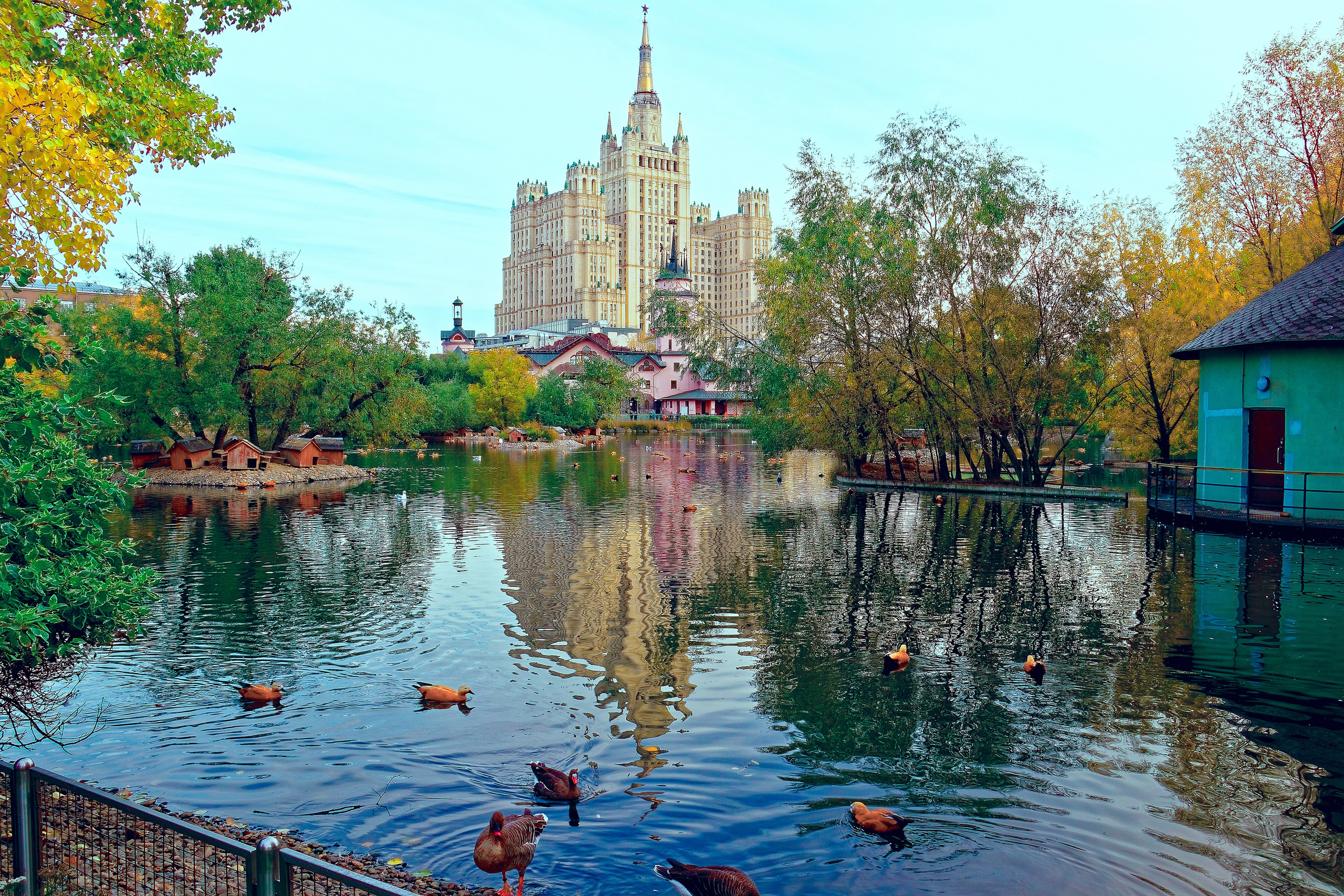 МОСКОВСКИЙ ЗООПАРК. Фотограф Владимир Роля