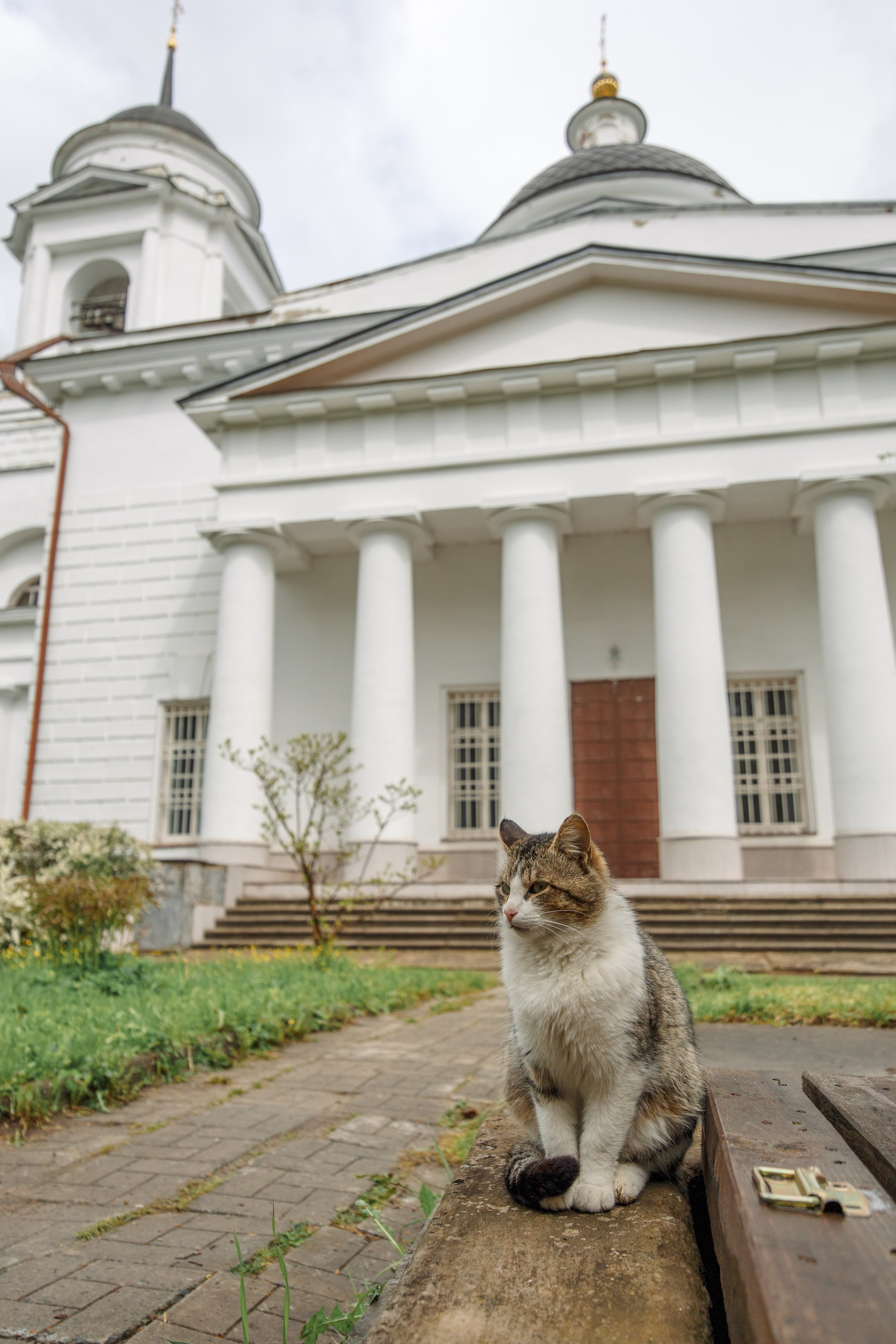 Крещение Евы. Александр Антонов. Профессиональный свадебный, репортажный фотограф в Москве, Подольске. Фото+Видео на любой праздник