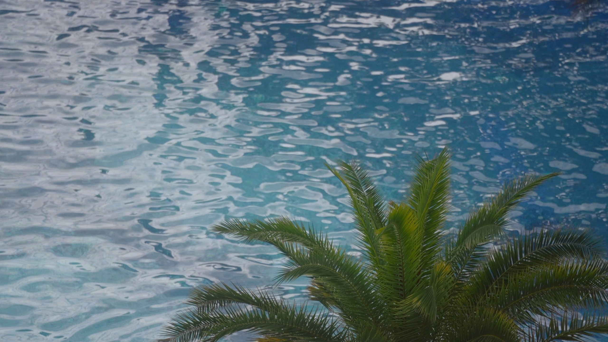 Ульяна и Олег. Агата Акварель видеограф Сочи Краснодар