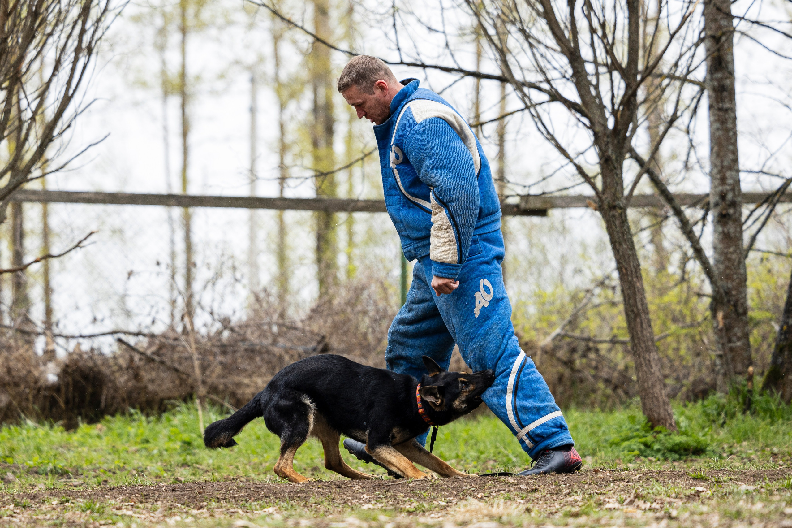Квалификационные состязания по мондьорингу г. Вологда 11.05.24. Фотограф-анималист Анна Маринич