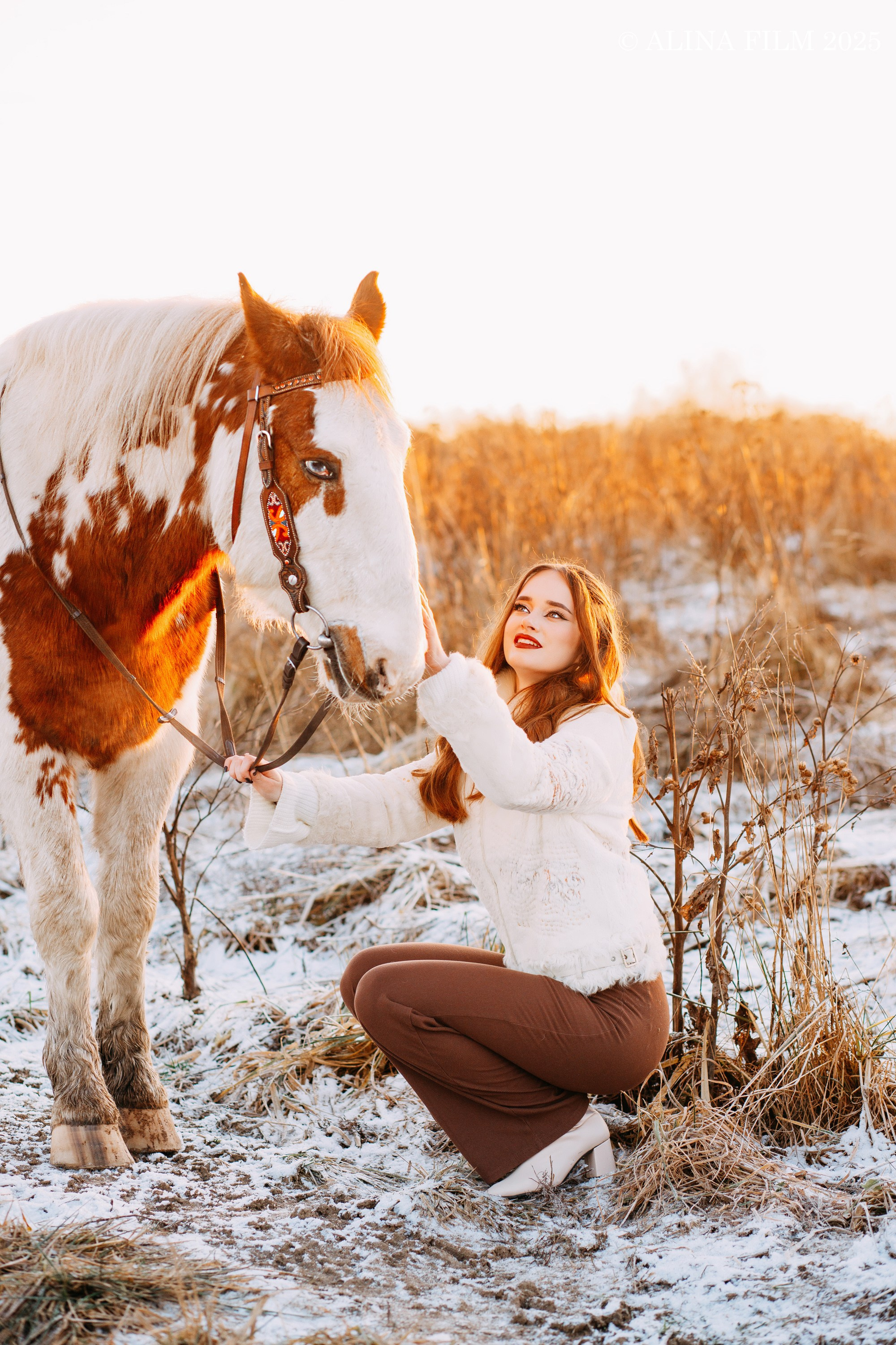 Фотосессия с лошадью. Фотограф в Санкт-Петербурге Alina Film