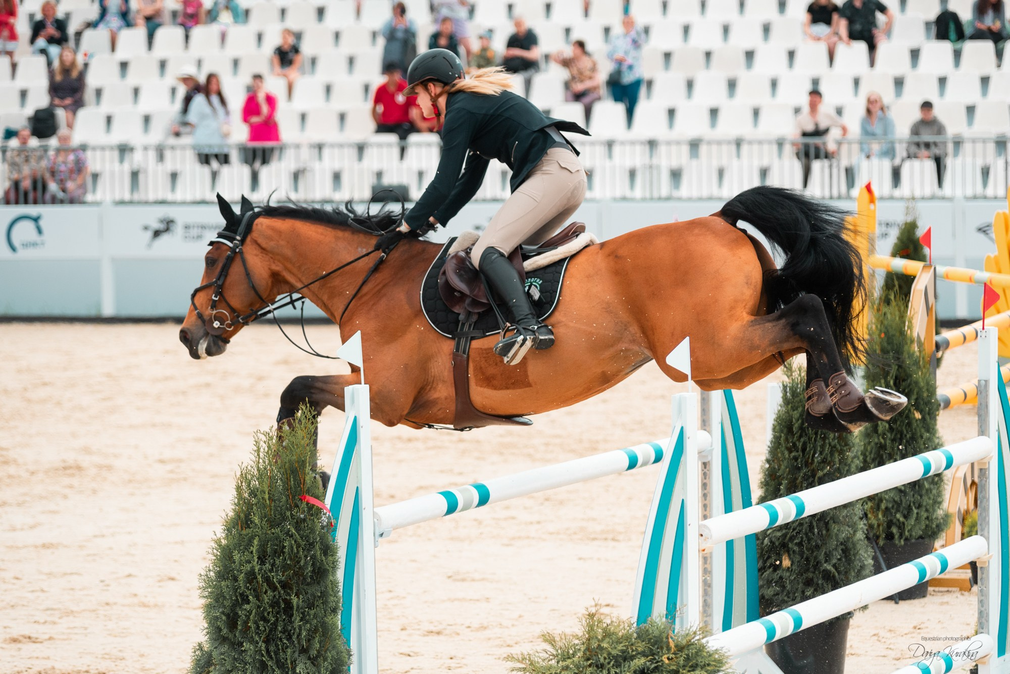 BITRIVER CUP 2023. Конный фотограф Куракина Дарья • Фотосессии с лошадьми