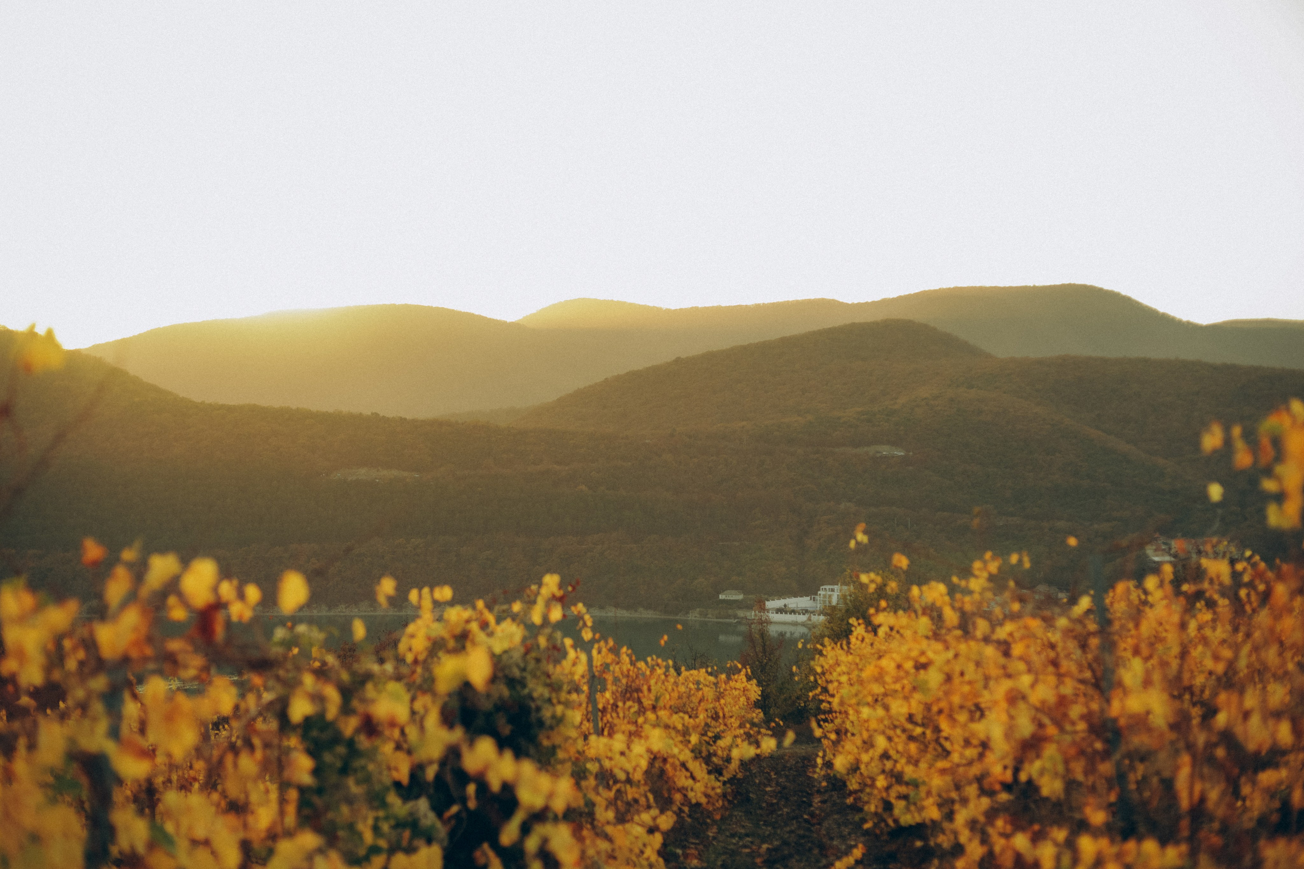 Инга, Андрей, Василиса и Леня. Семейный фотограф Анапа