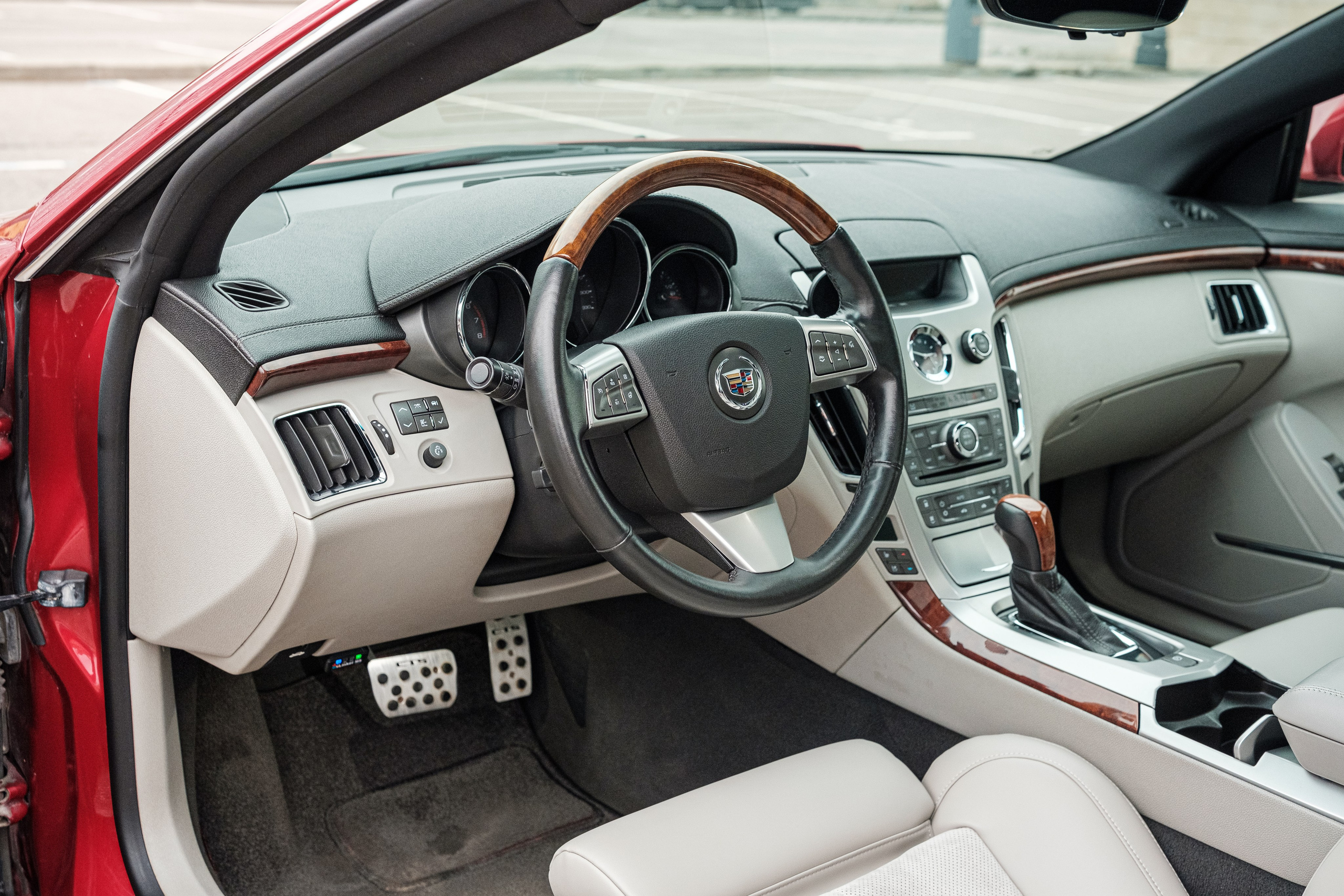 Кэдди. Алексей Никифоров фотограф Москва, Химки