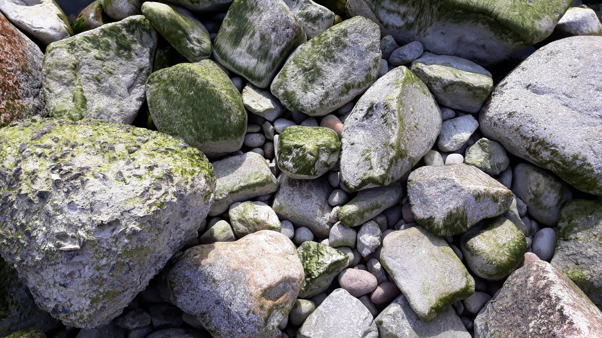 Arseniy Karchevskiy I Photographer