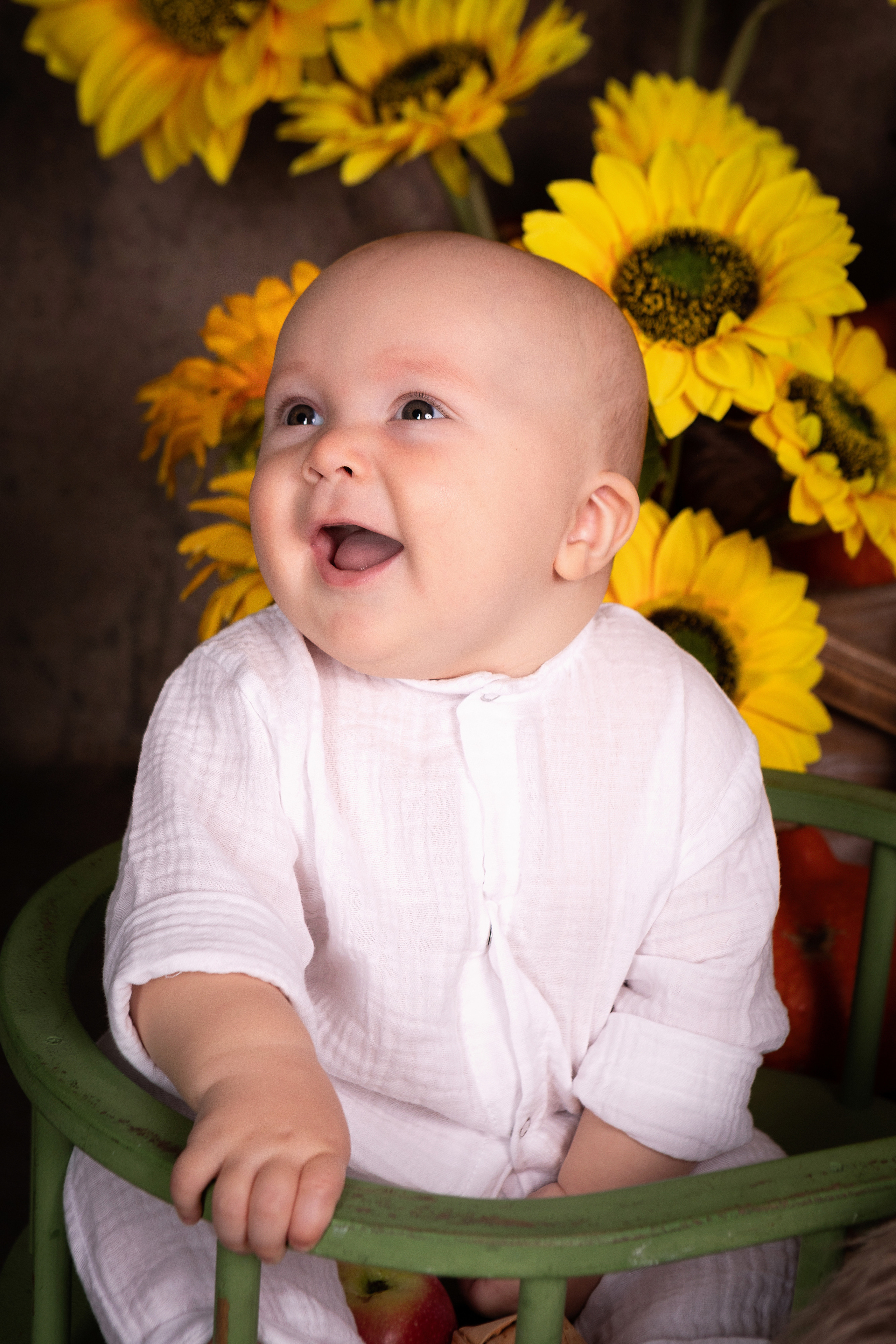 Фотопроект «Осень 2025». ФОТОГРАФ НА ГОДИК, БЕРЕМЕННОСТИ, НОВОРОЖДЕННЫХ, КРЕЩЕНИЯ МОСКВА