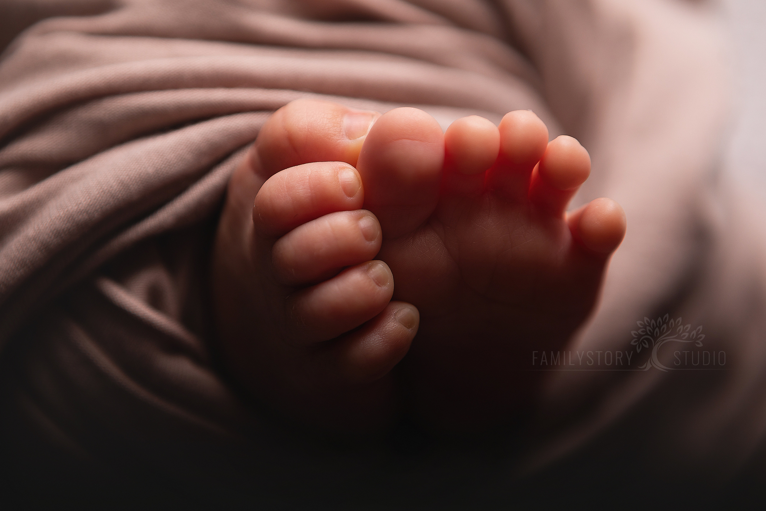 Новорожденные. ФОТОГРАФ НА ГОДИК, БЕРЕМЕННОСТИ, НОВОРОЖДЕННЫХ, КРЕЩЕНИЯ МОСКВА