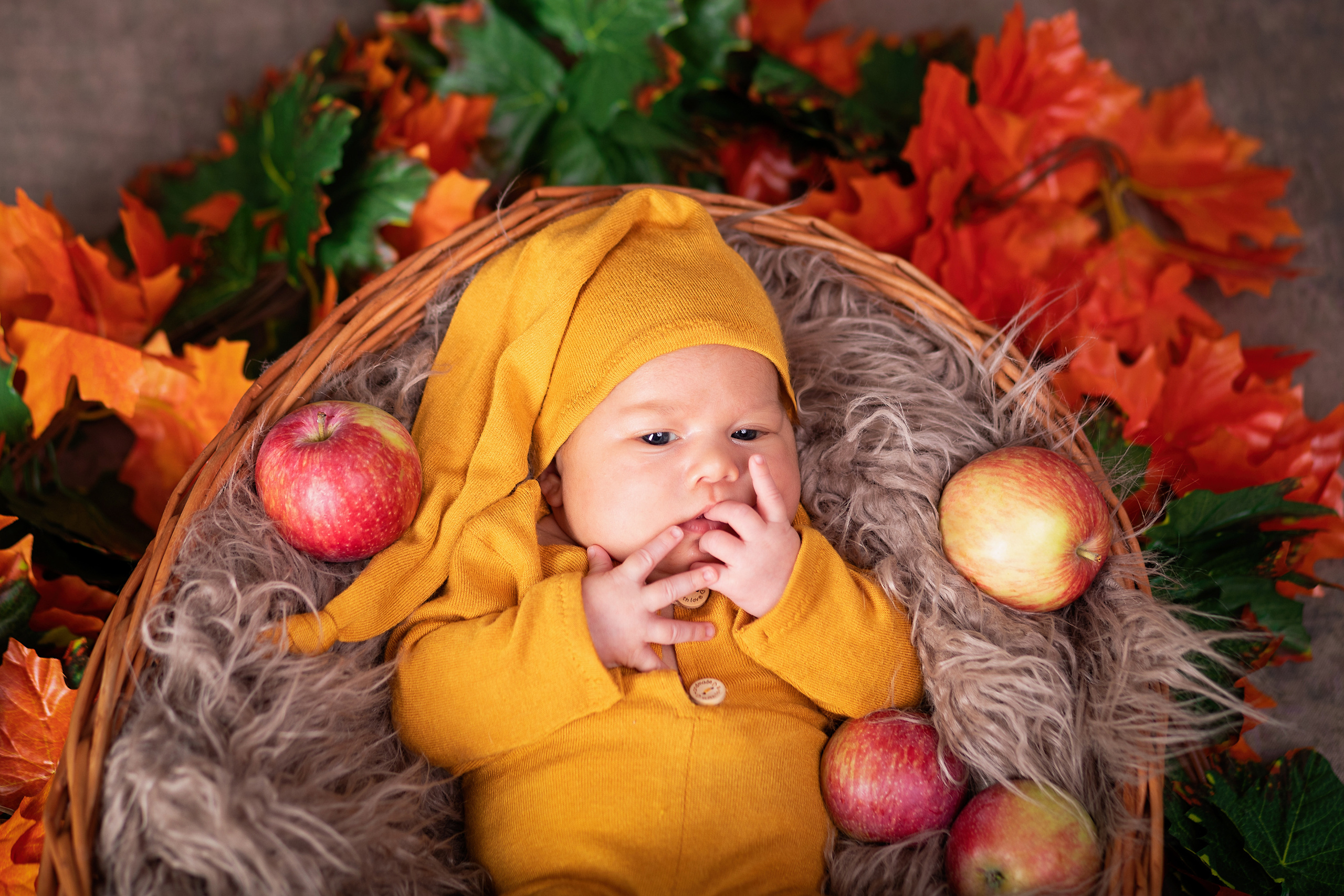 Фотопроект «Осень 2025». ФОТОГРАФ НА ГОДИК, БЕРЕМЕННОСТИ, НОВОРОЖДЕННЫХ, КРЕЩЕНИЯ МОСКВА