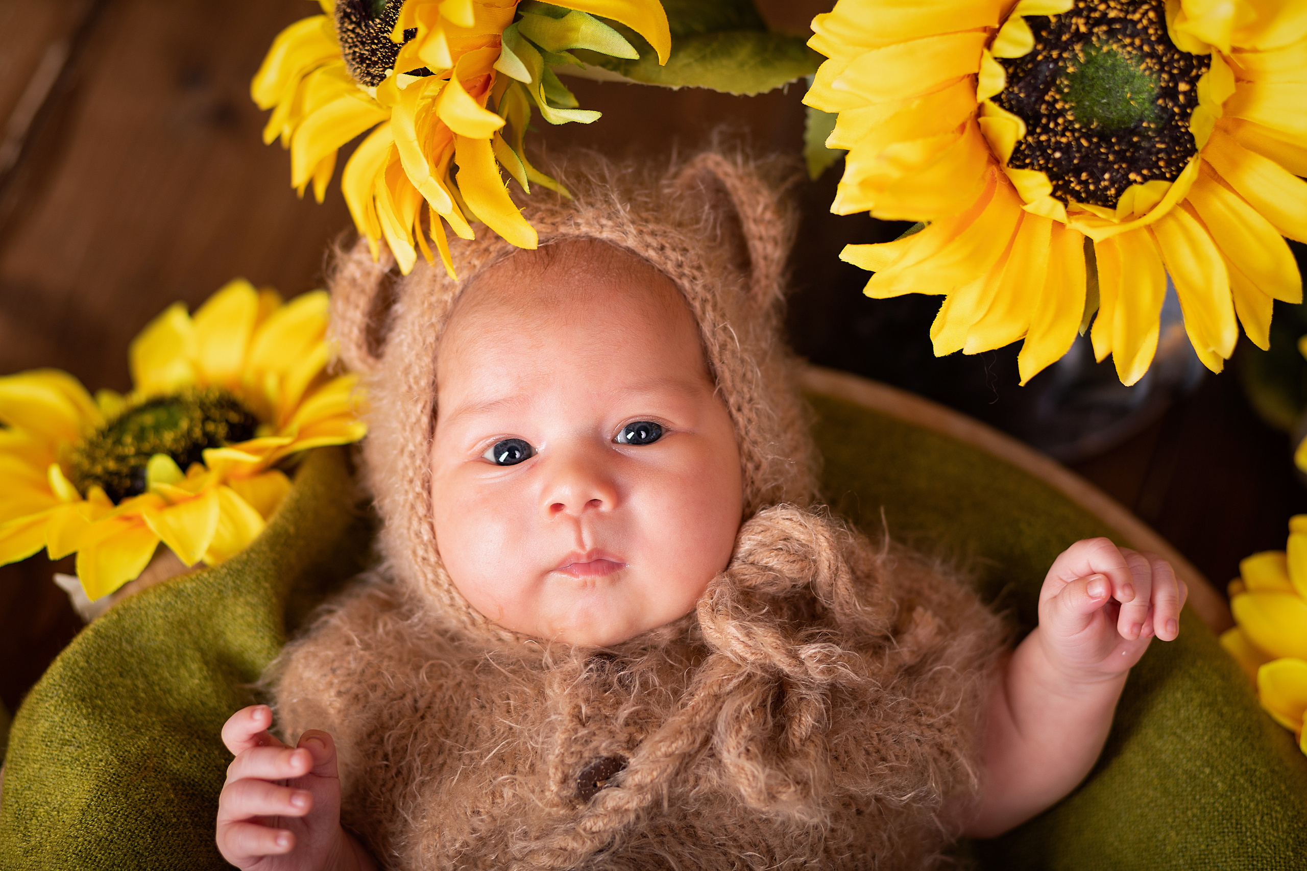 Фотопроект «Осень 2025». ФОТОГРАФ НА ГОДИК, БЕРЕМЕННОСТИ, НОВОРОЖДЕННЫХ, КРЕЩЕНИЯ МОСКВА