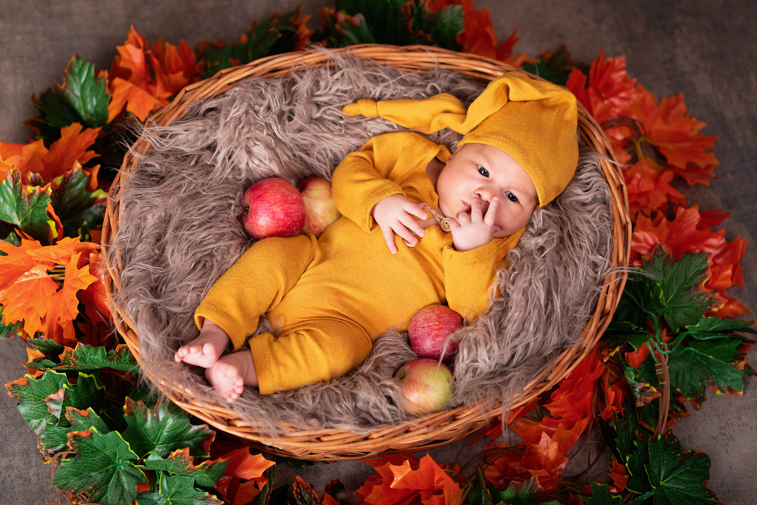 Фотопроект «Осень 2025». ФОТОГРАФ НА ГОДИК, БЕРЕМЕННОСТИ, НОВОРОЖДЕННЫХ, КРЕЩЕНИЯ МОСКВА