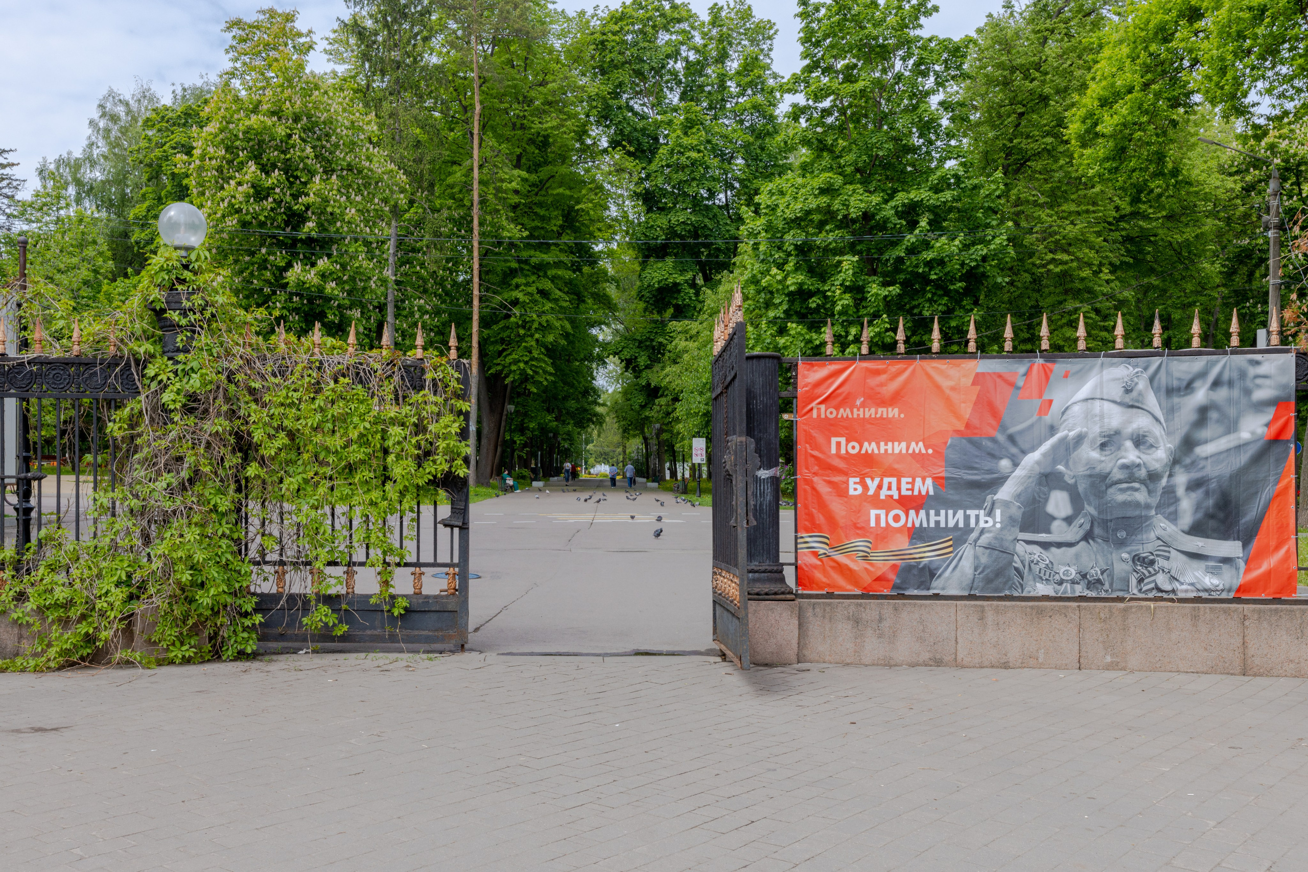 Парк им. П. П. Белоусова г. Тула 2024 г. Фотограф в Туле Крупский АнДРей. Фотостудия «КАДР71» в Туле