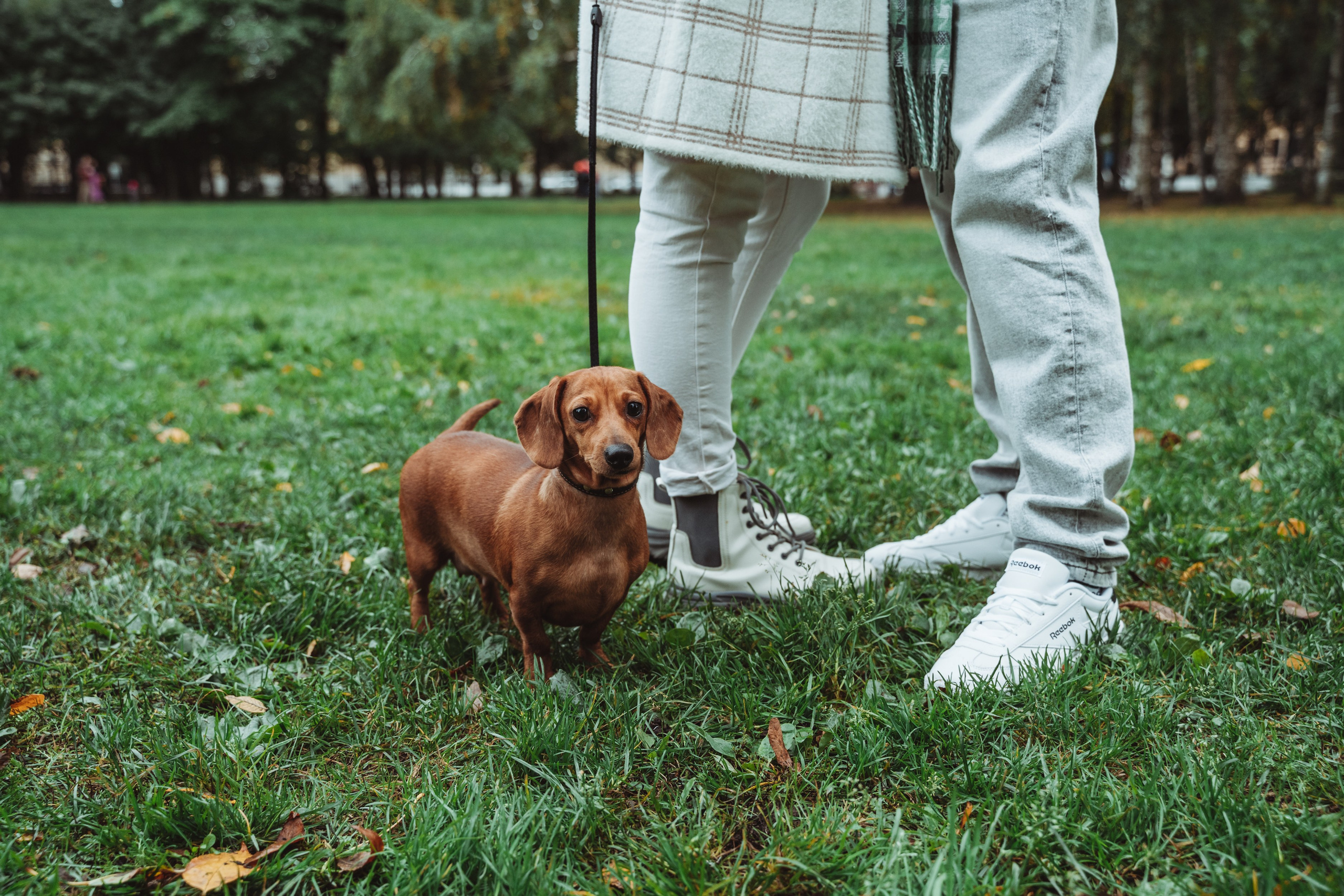 Лав стори фотограф Санкт-Петербург. Свадебный, семейный, портретный, репортажный фотограф в Санкт-Петербурге