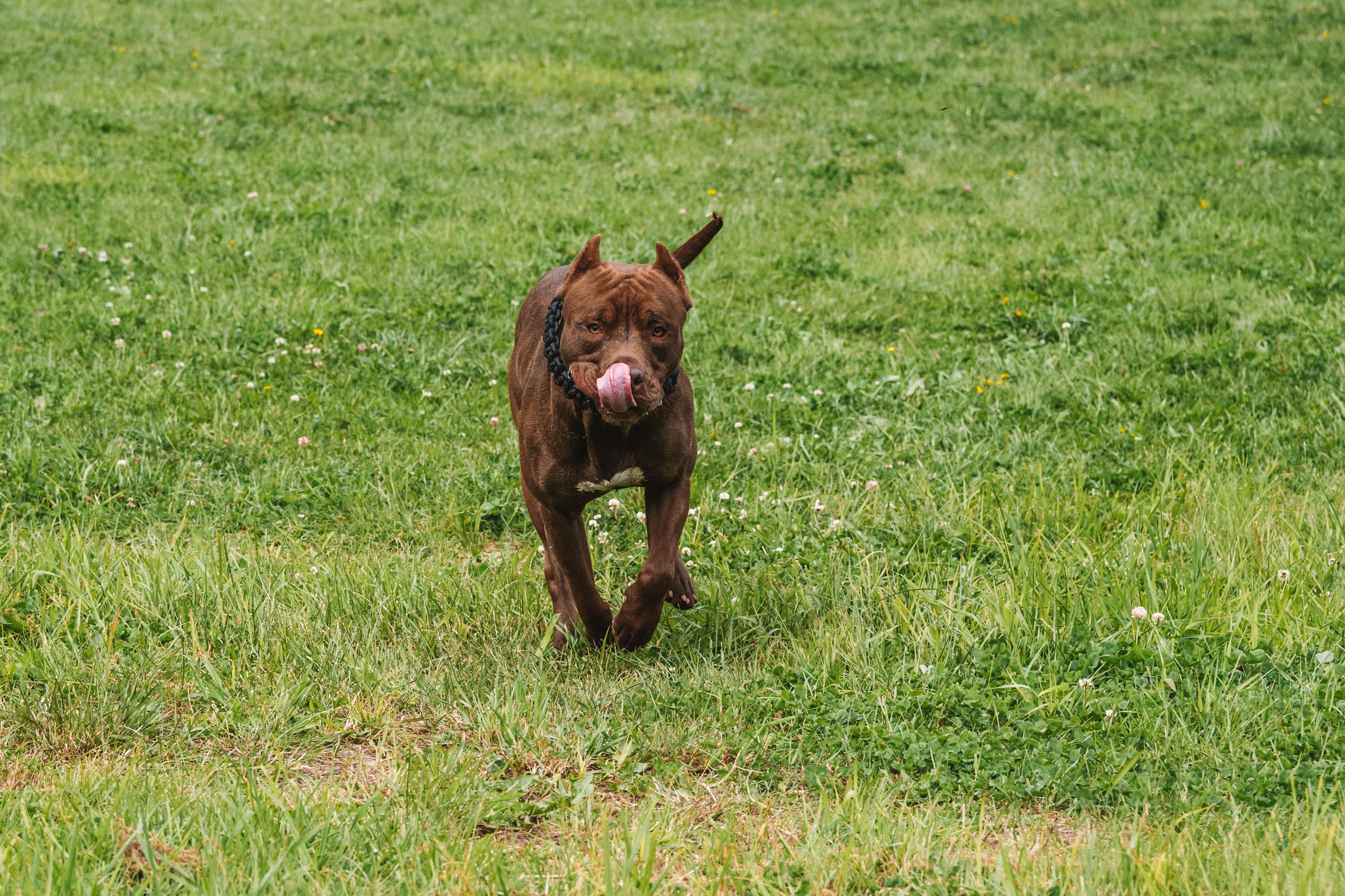 Лав стори фотограф Санкт-Петербург. Свадебный, семейный, портретный, репортажный фотограф в Санкт-Петербурге