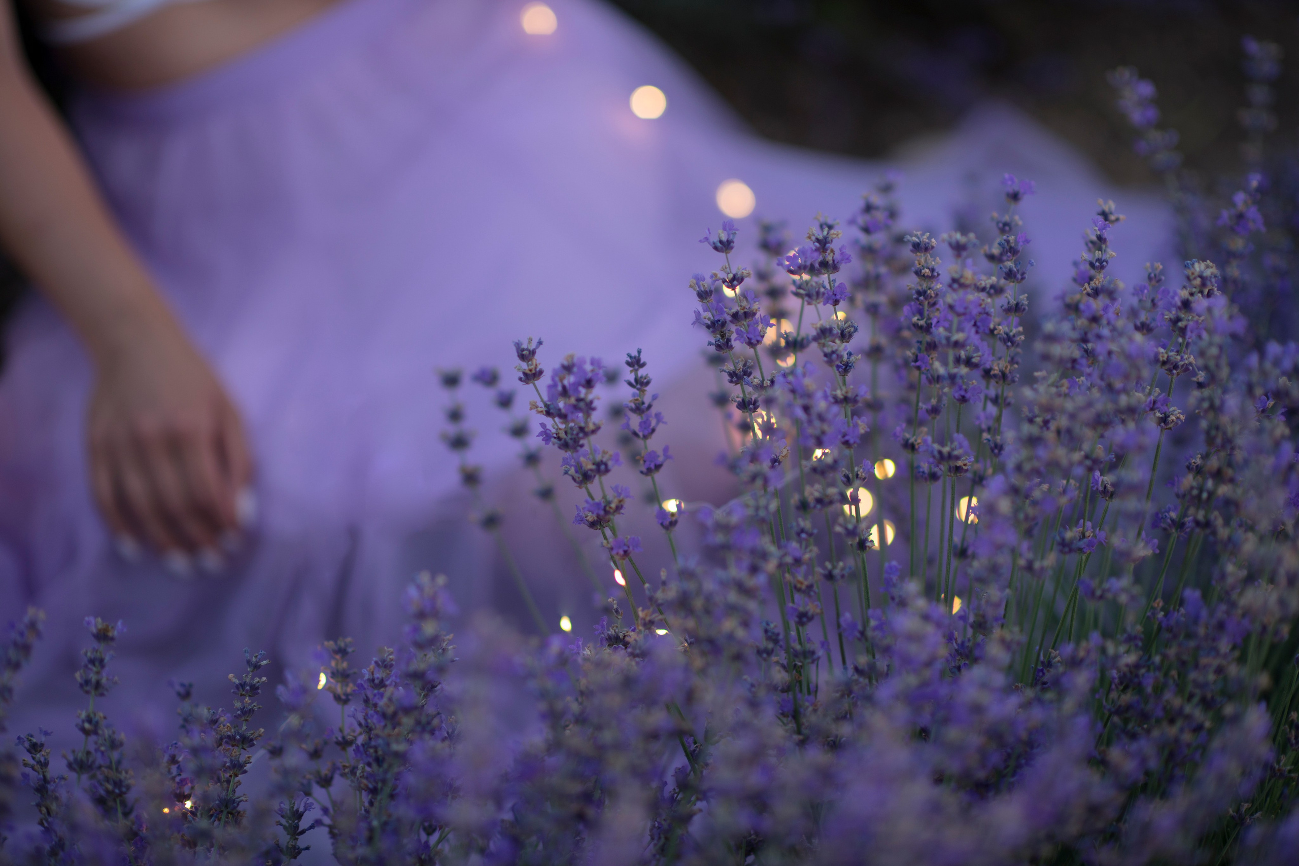 Крымская Лаванда. Семейный и детский фотограф в Севастополе. Семейный фотограф в Ялте