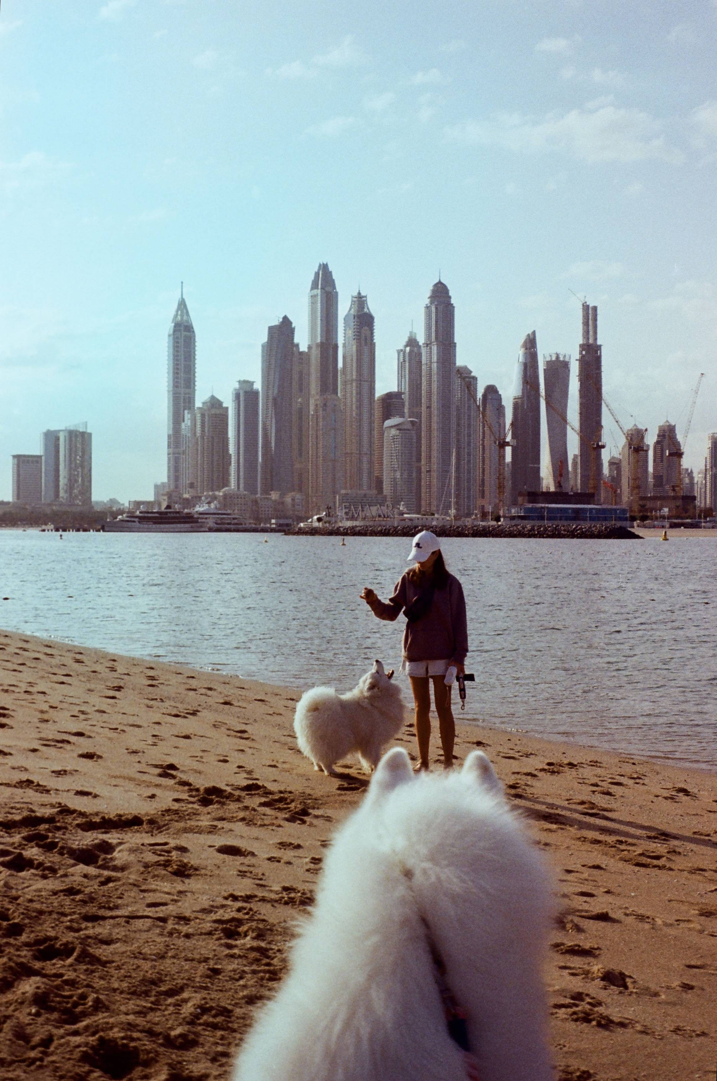 Places. TATIANA DARINA — film photographer in St. Petersburg