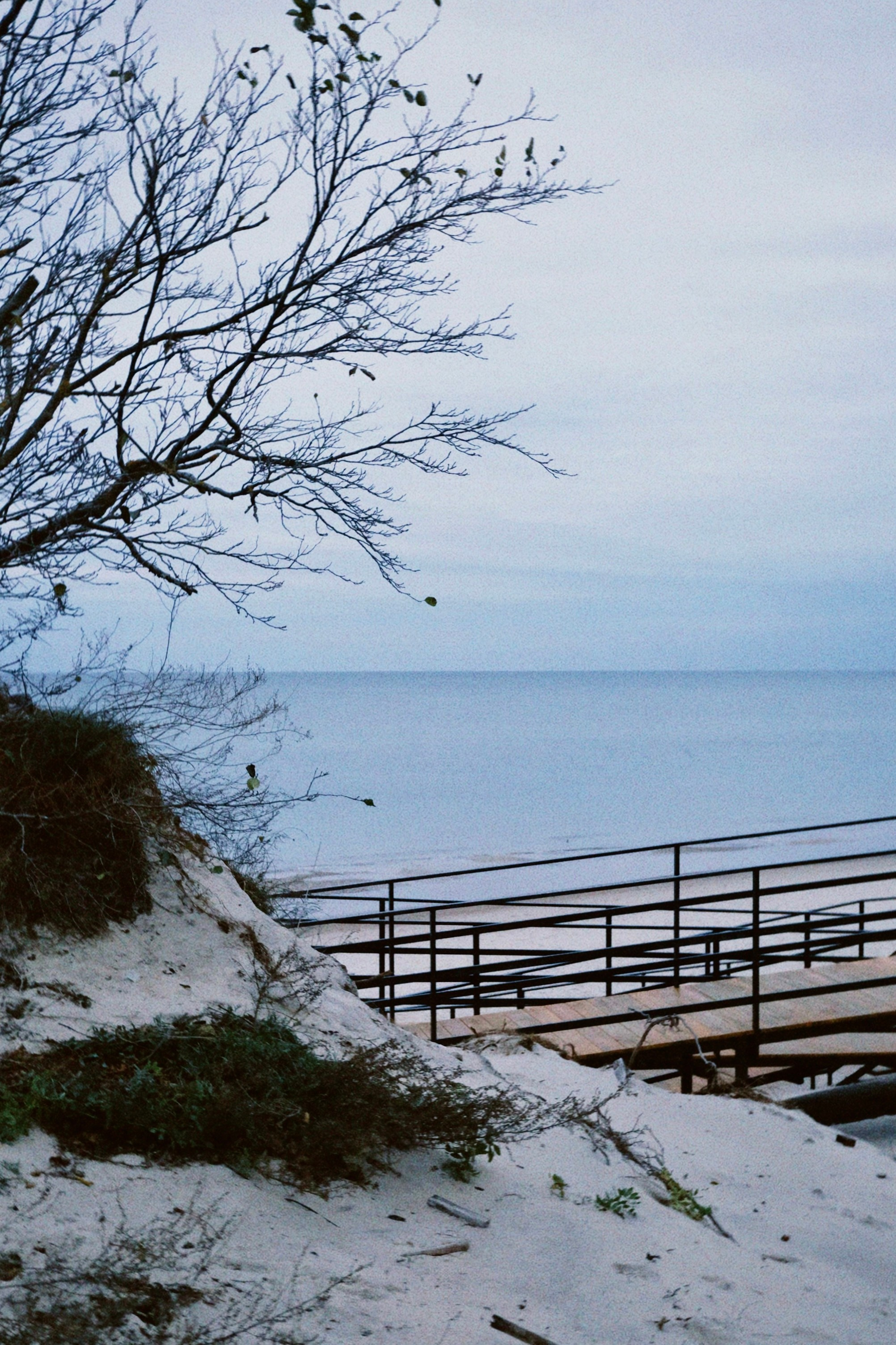 Калининград. Татьян гертье