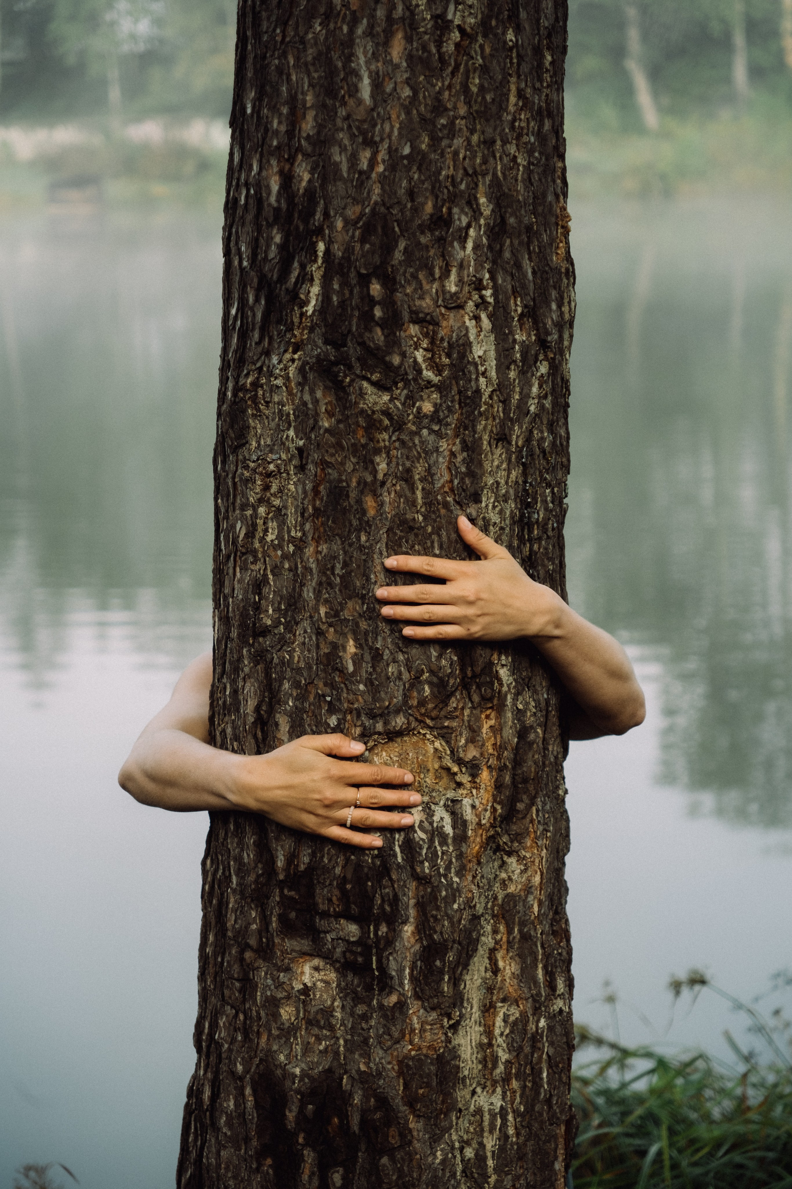 Туманный Альбион. Фотограф в Иркутске Анна Мирошникова