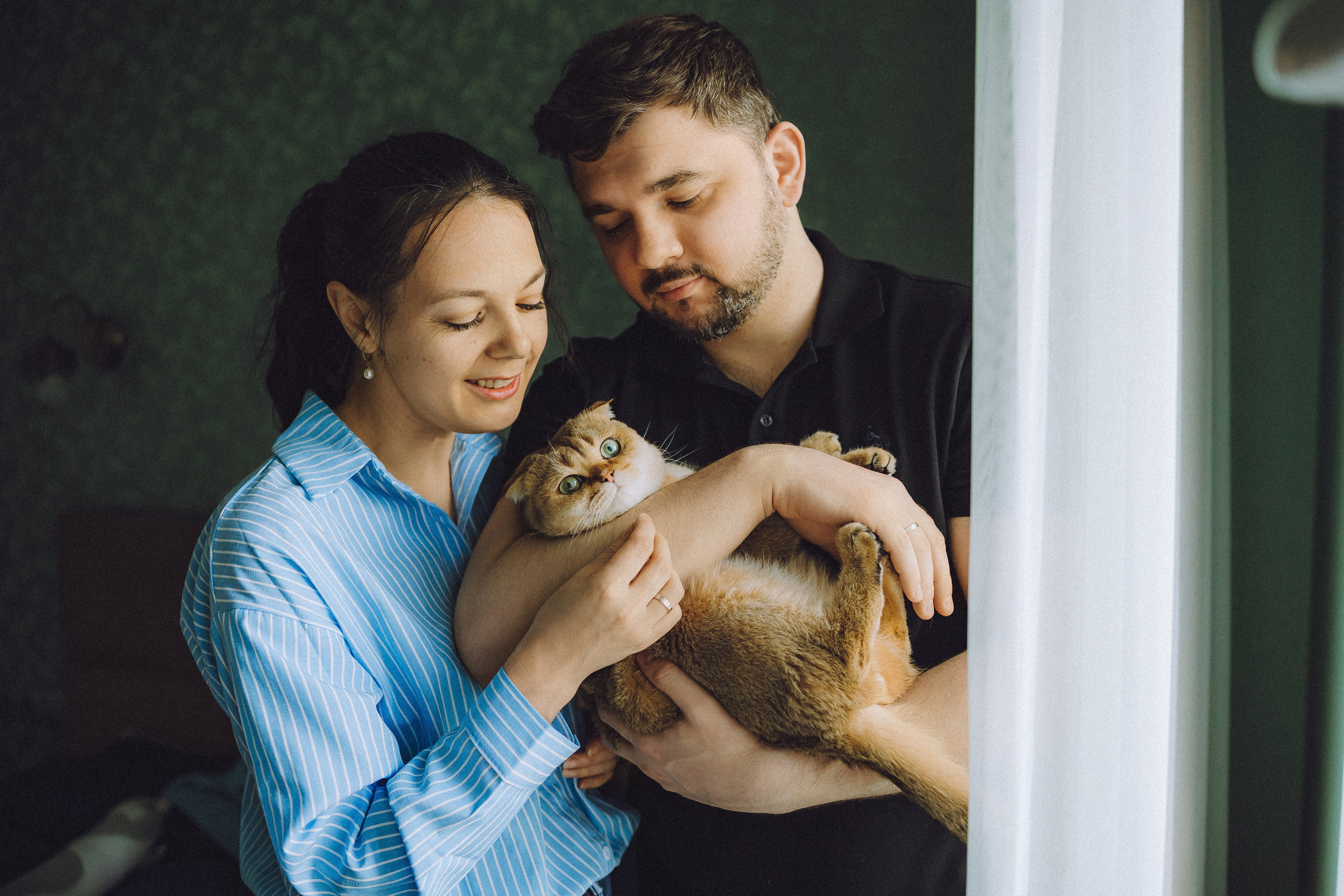 Генри и его семья