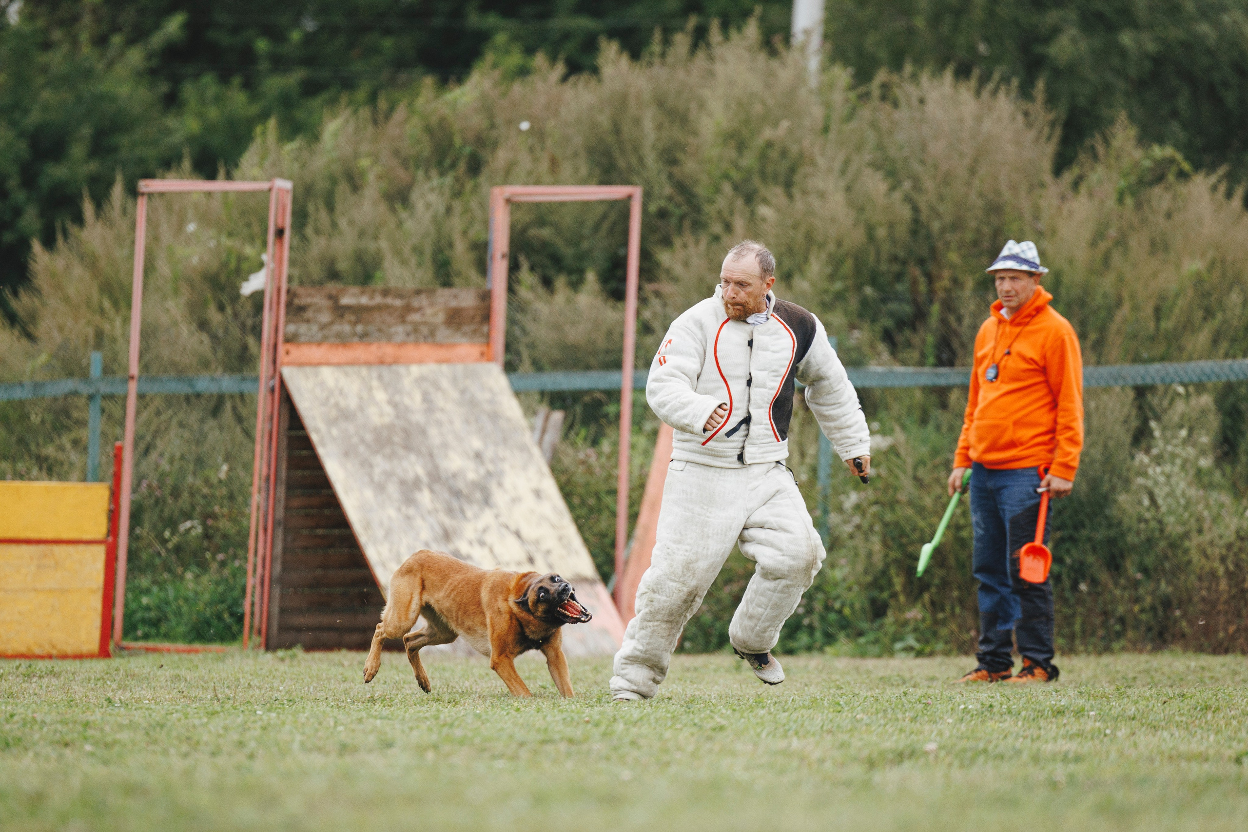 08.08.25-10.08.25 ЧР по мондьорингу г. Вологда. Фотограф-анималист Анна Маринич