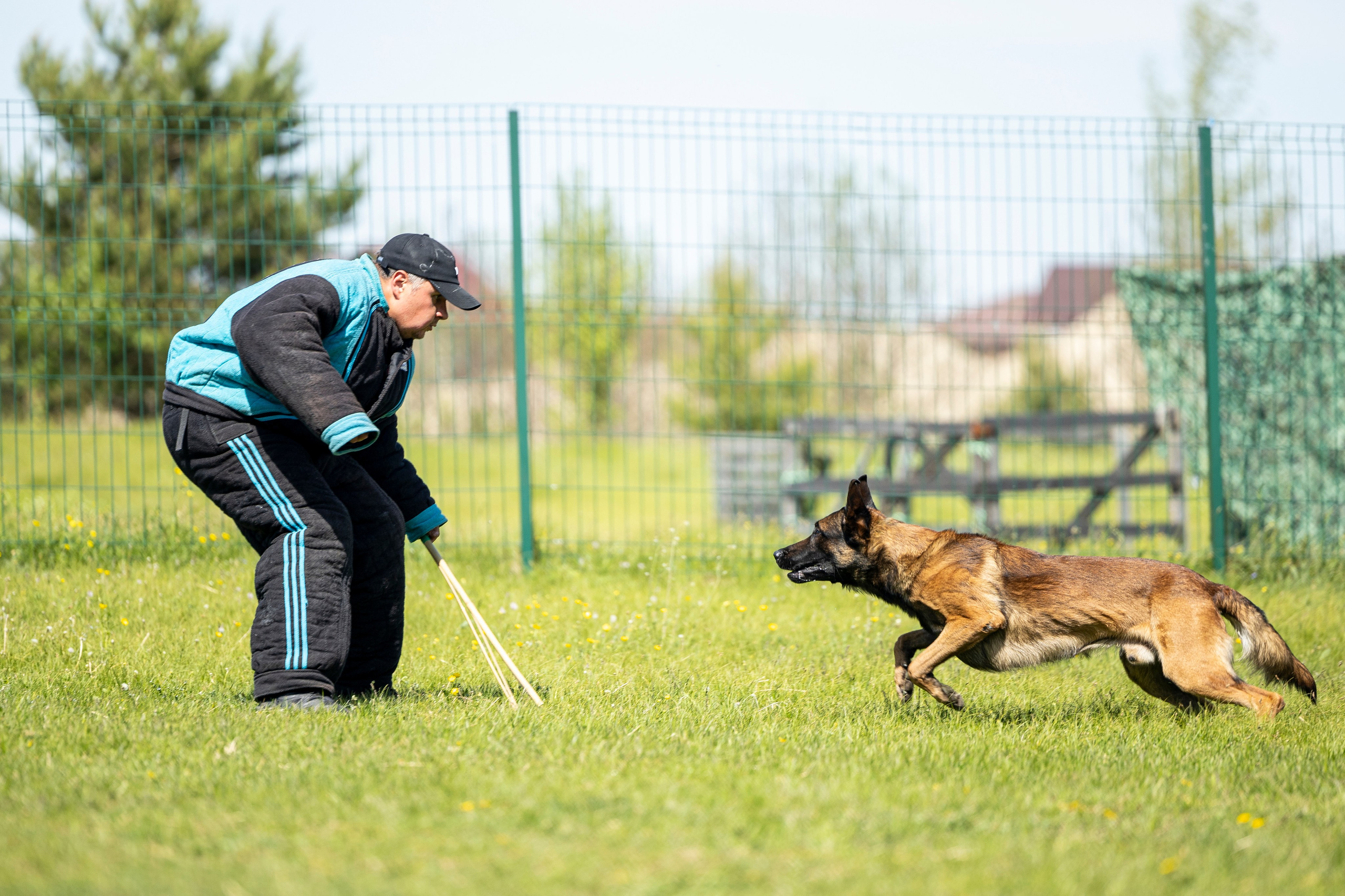 Испытания по мондьорингу в Нижнем Новгороде. Фотограф-анималист Анна Маринич