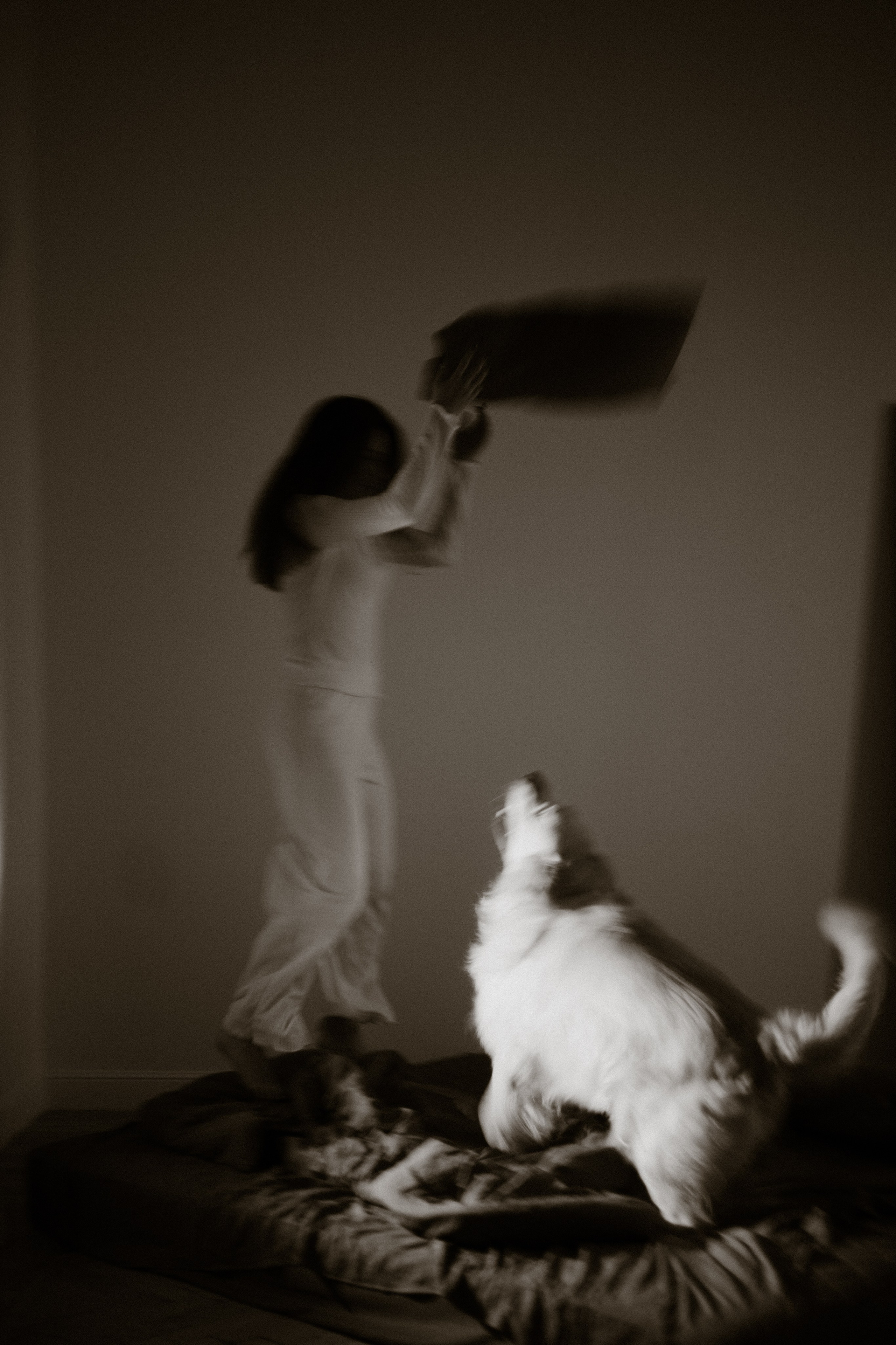 Лёва и его семья. Фотограф — анималист •love-story•|Санкт-Петербург