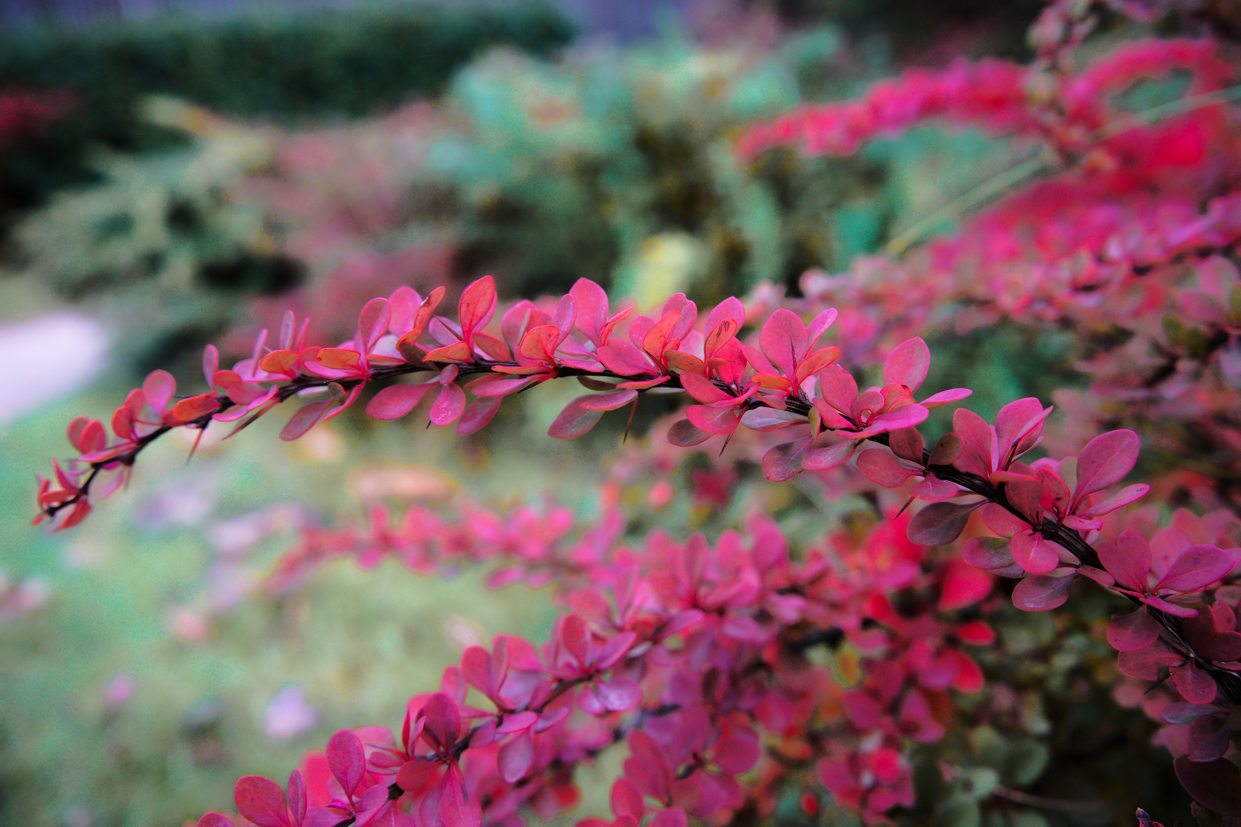 Осень 2025. Фотограф из Москвы — DASHA NOVA | Авторская фотография в разных жанрах