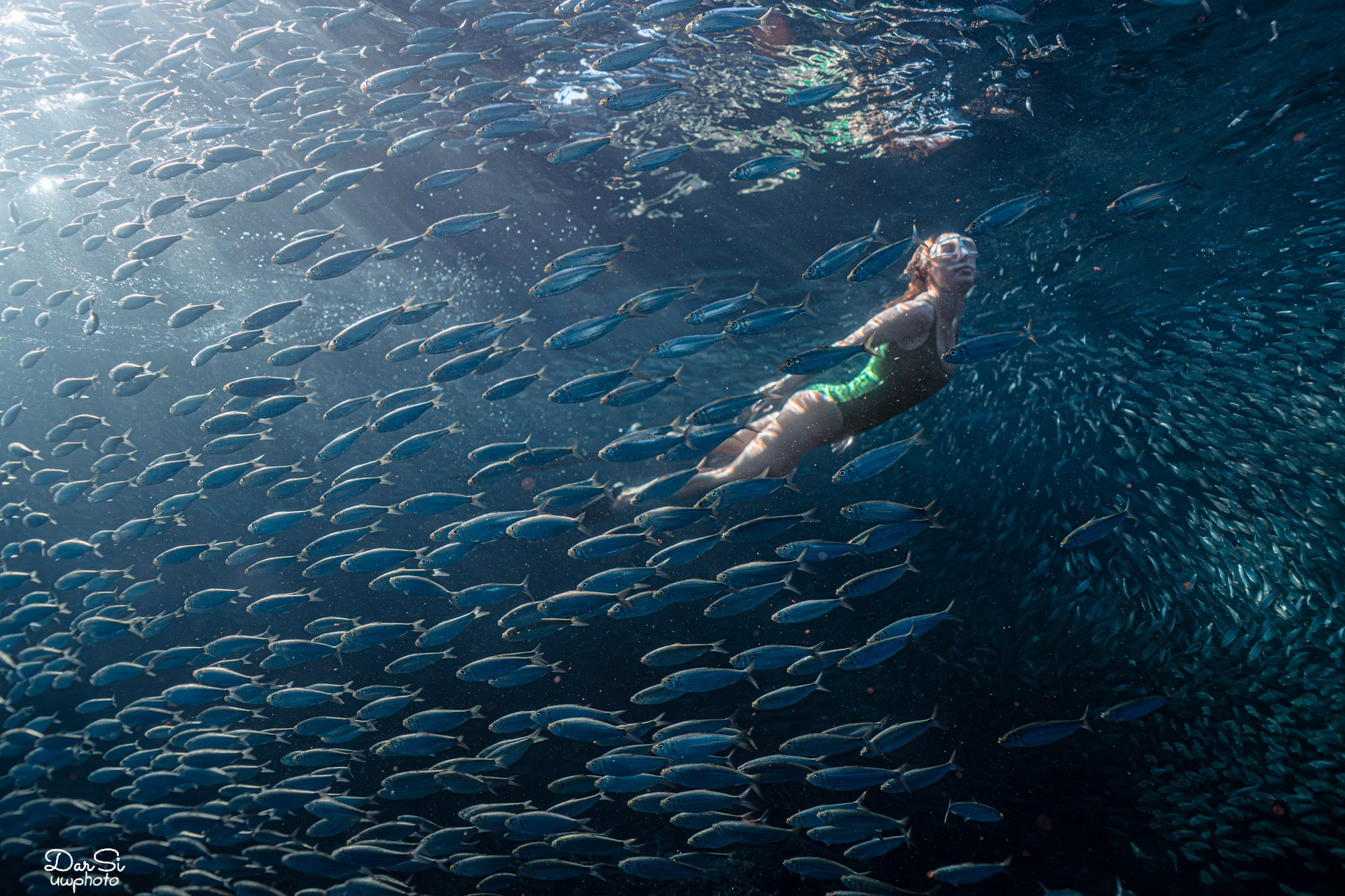 Фотосессия с сардинами (+каньон). Underwater Photographer in the Philippines — Daria Sinitsina
