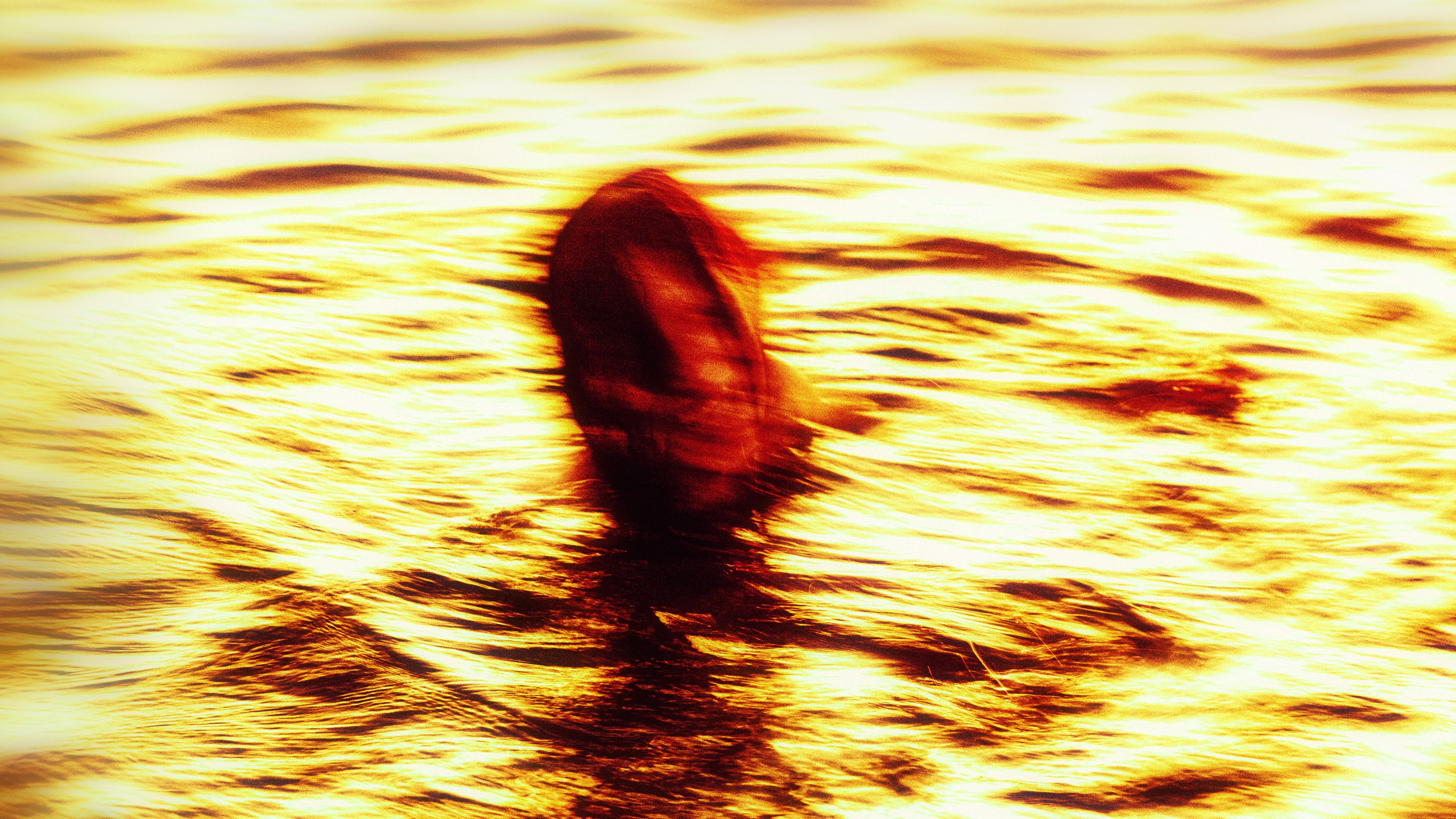 Даниэлла. Черно-белый фотограф Дмитрий Пчелкин