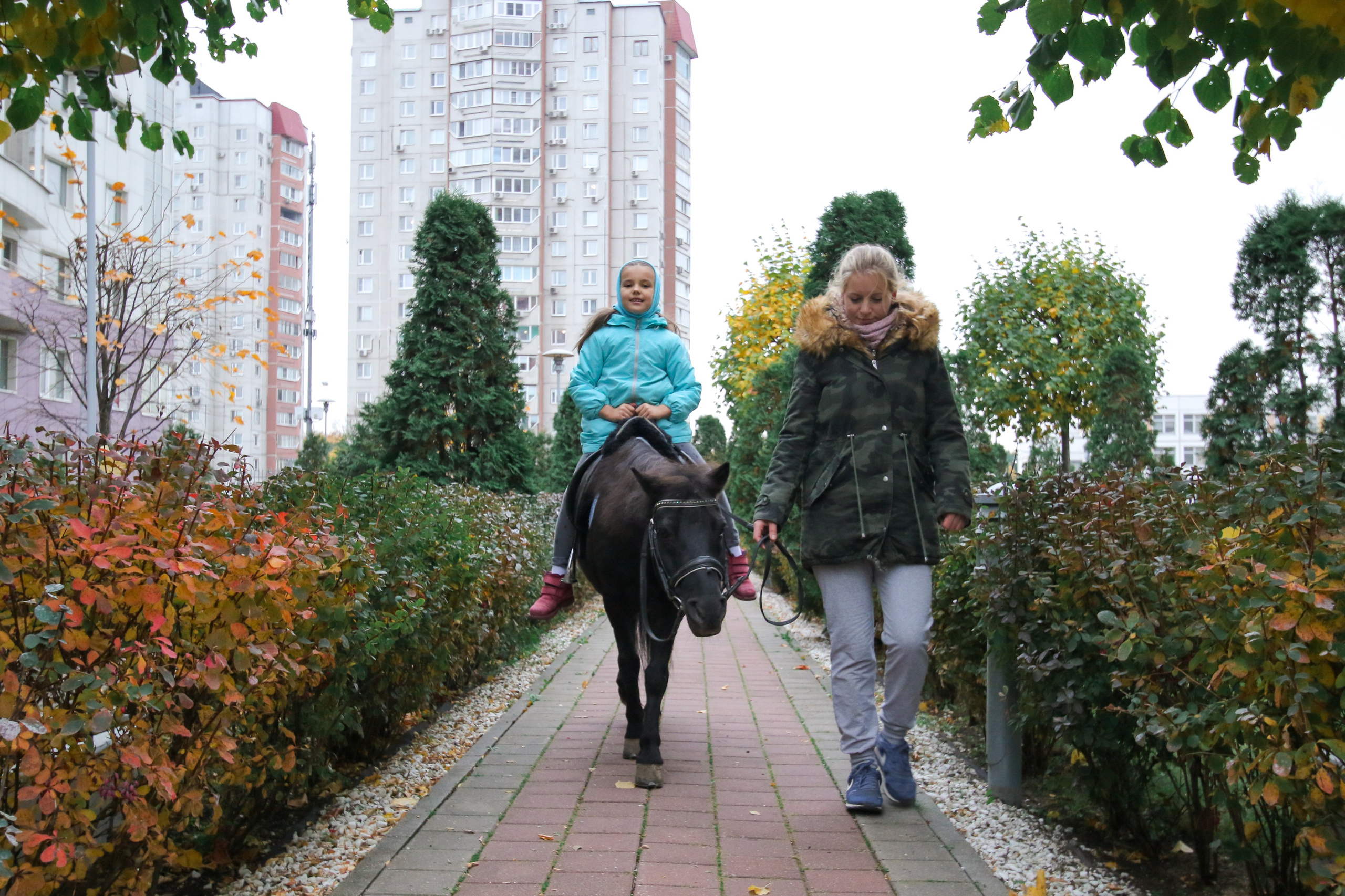 Саше 6 лет. Репортажный и интерьерный фотограф Александра Солдатова