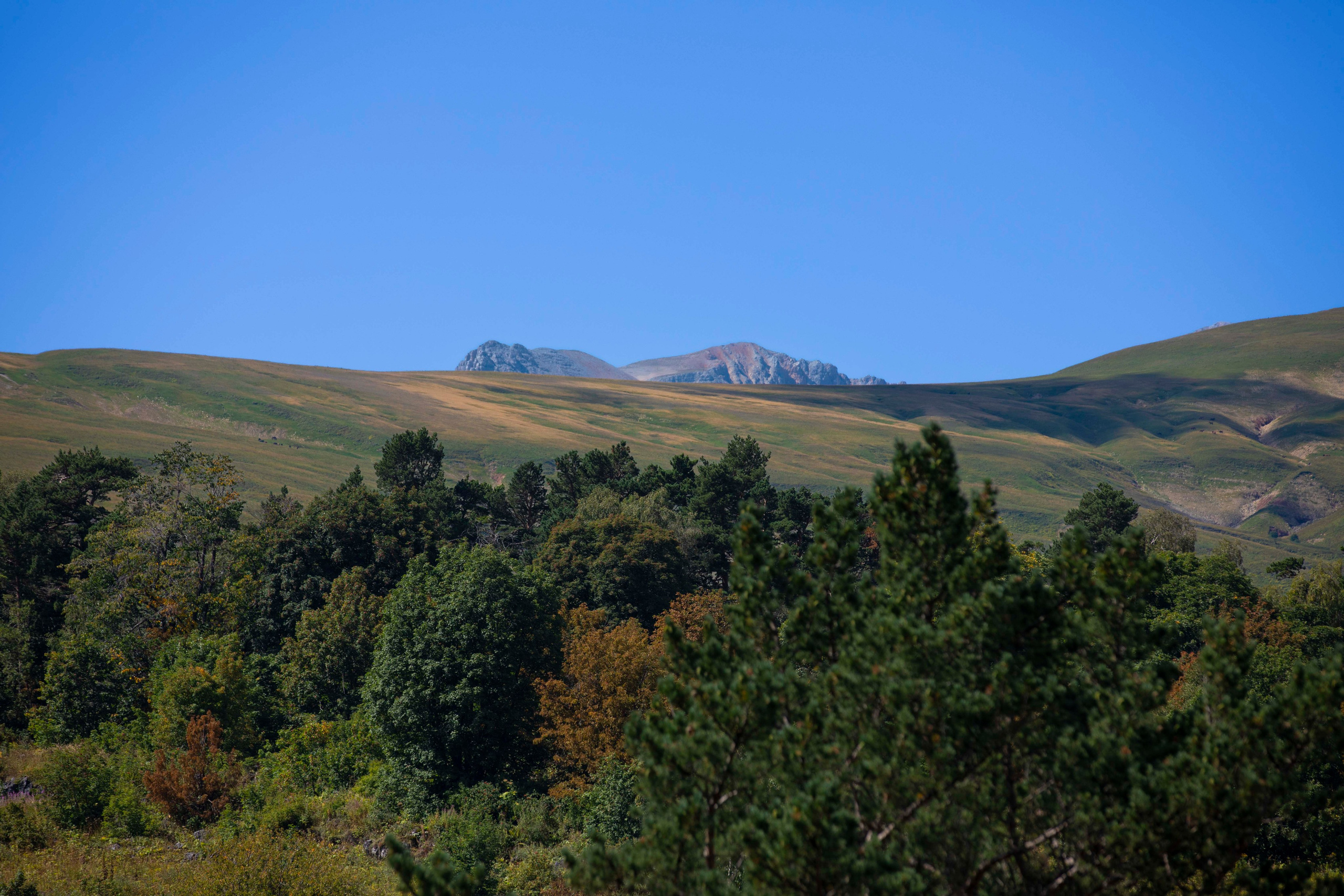 Лаго-Наки. Фото о жизни