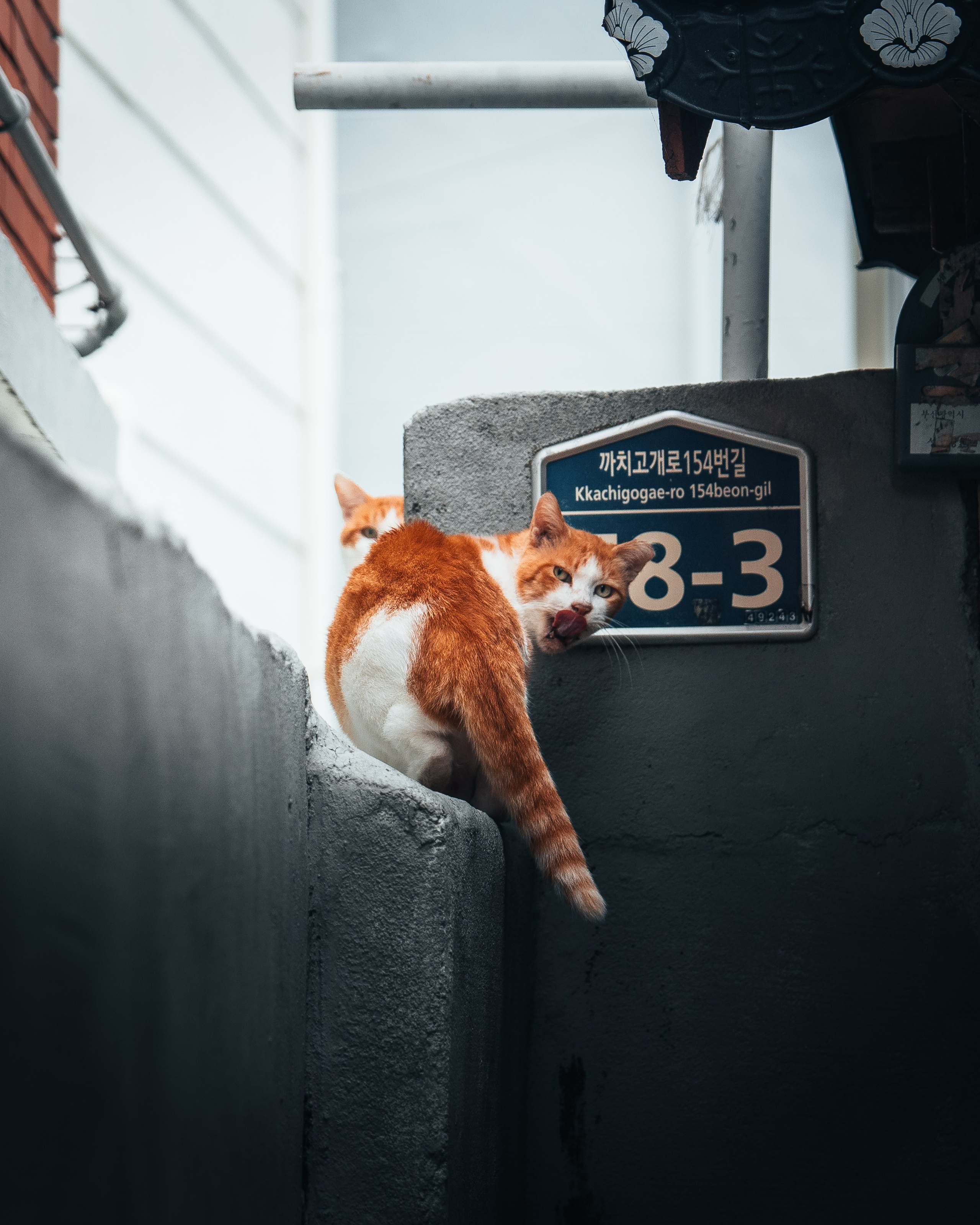 Street photography / Уличная фотография. @tomrus: Рустам Шагиморданов — фотограф